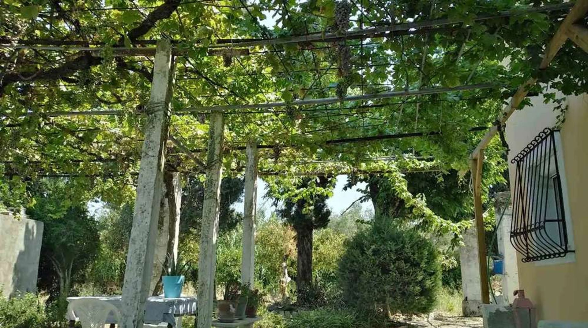 Casa nel Zakynthos, Zakinthos 10086819