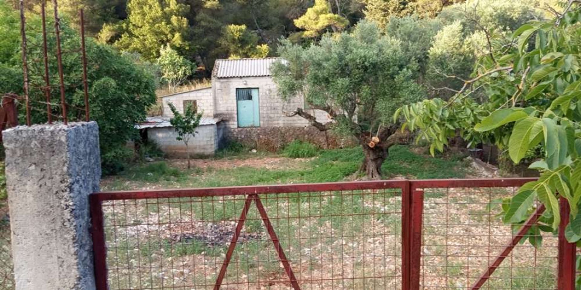 Ejerlejlighed i Zakynthos, Zakinthos 10086846