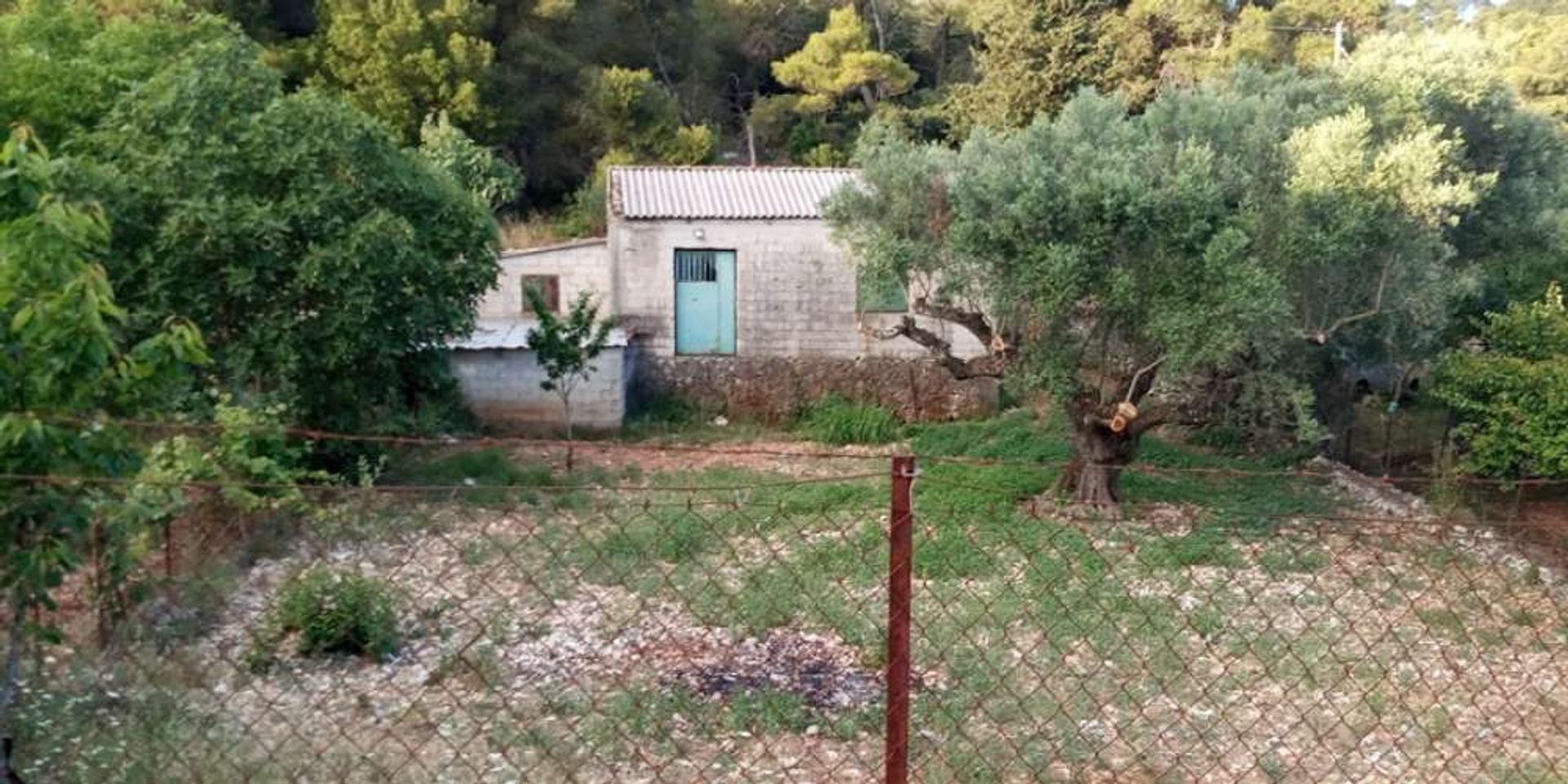 Borettslag i Zakynthos, Zakinthos 10086846