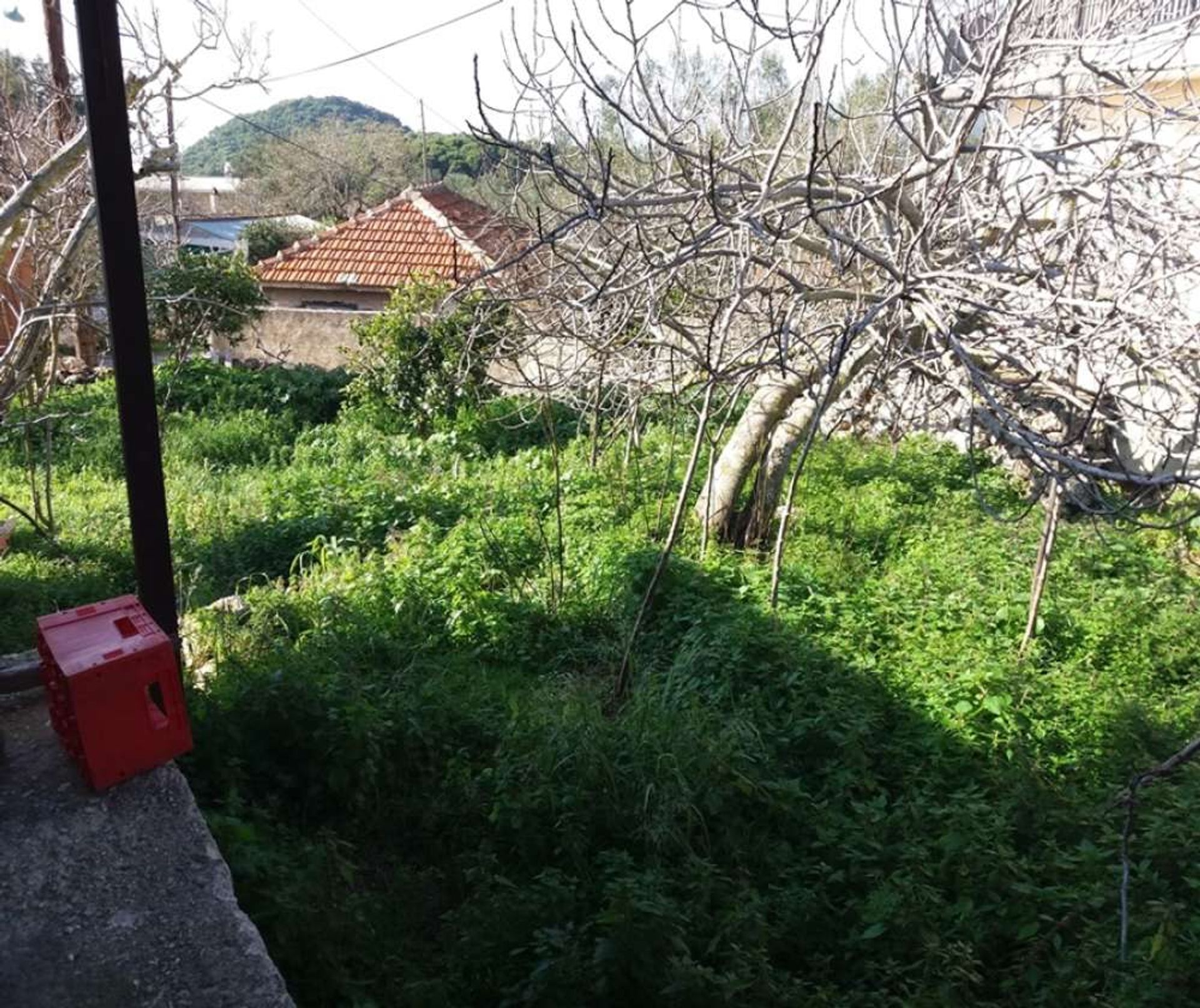 Haus im Zakynthos, Zakinthos 10086875