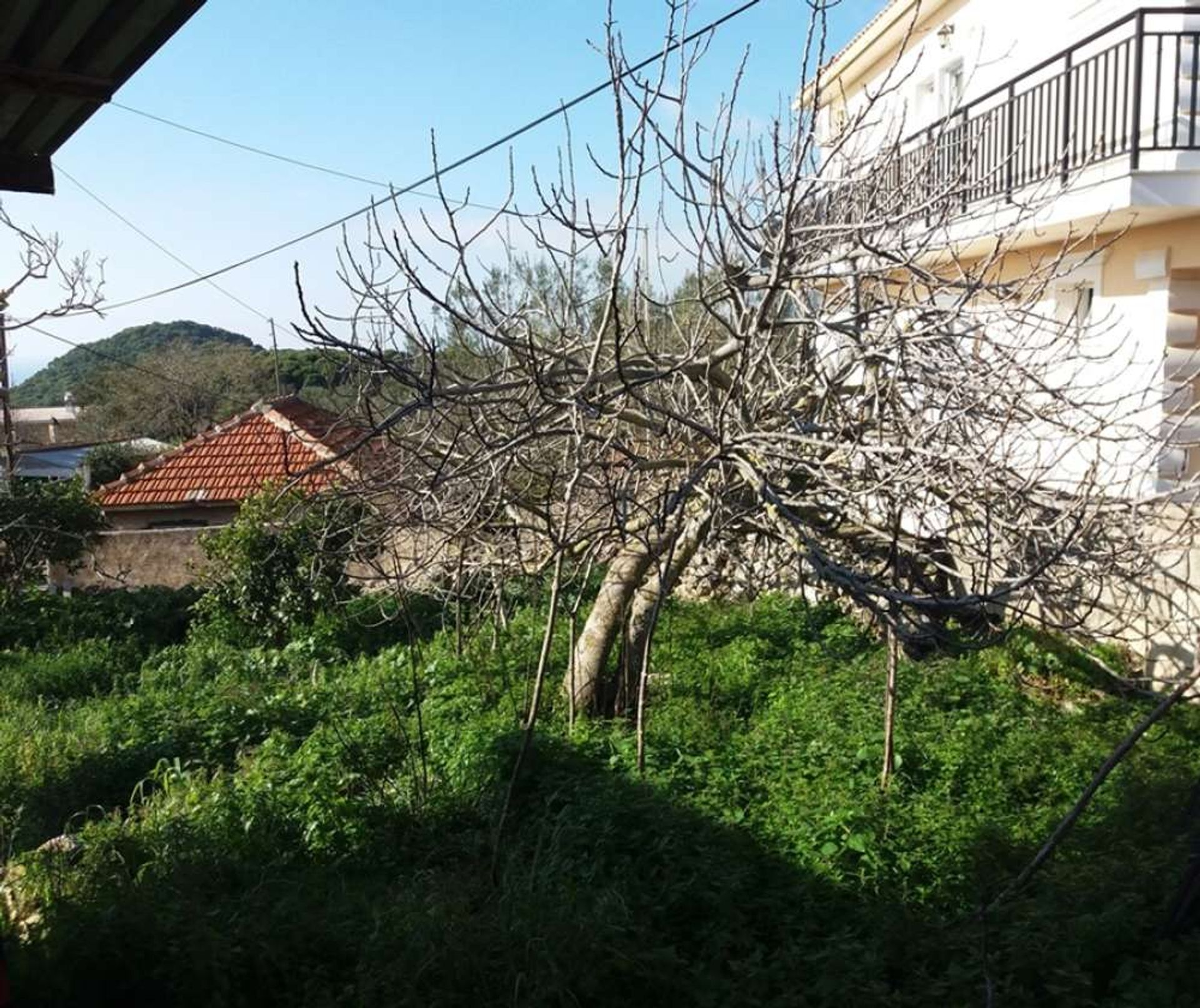 Haus im Zakynthos, Zakinthos 10086875