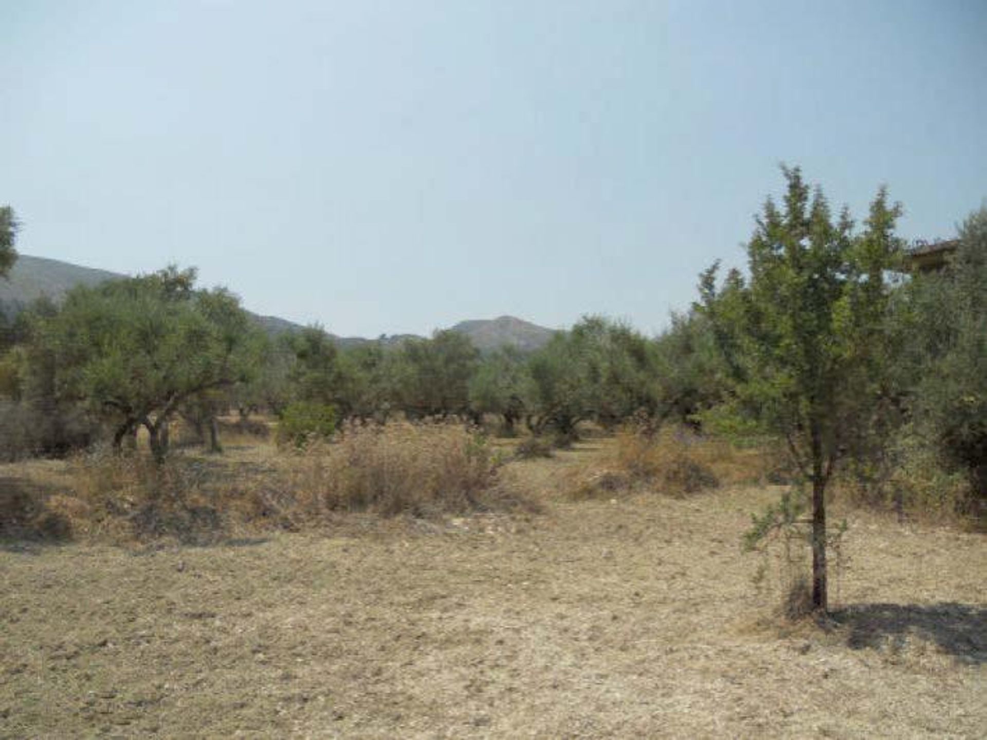 Hus i Zakynthos, Zakinthos 10086896