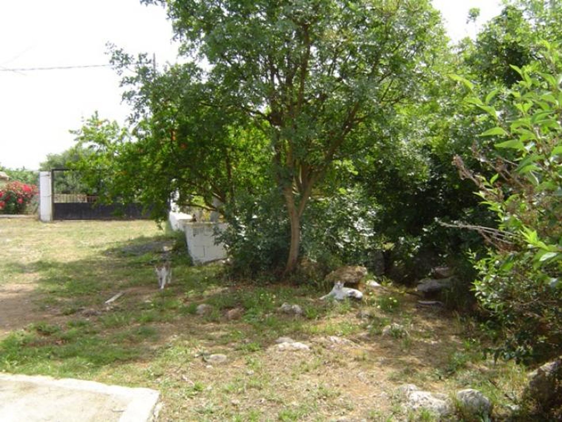 Huis in Messinia, Messinia 10086901