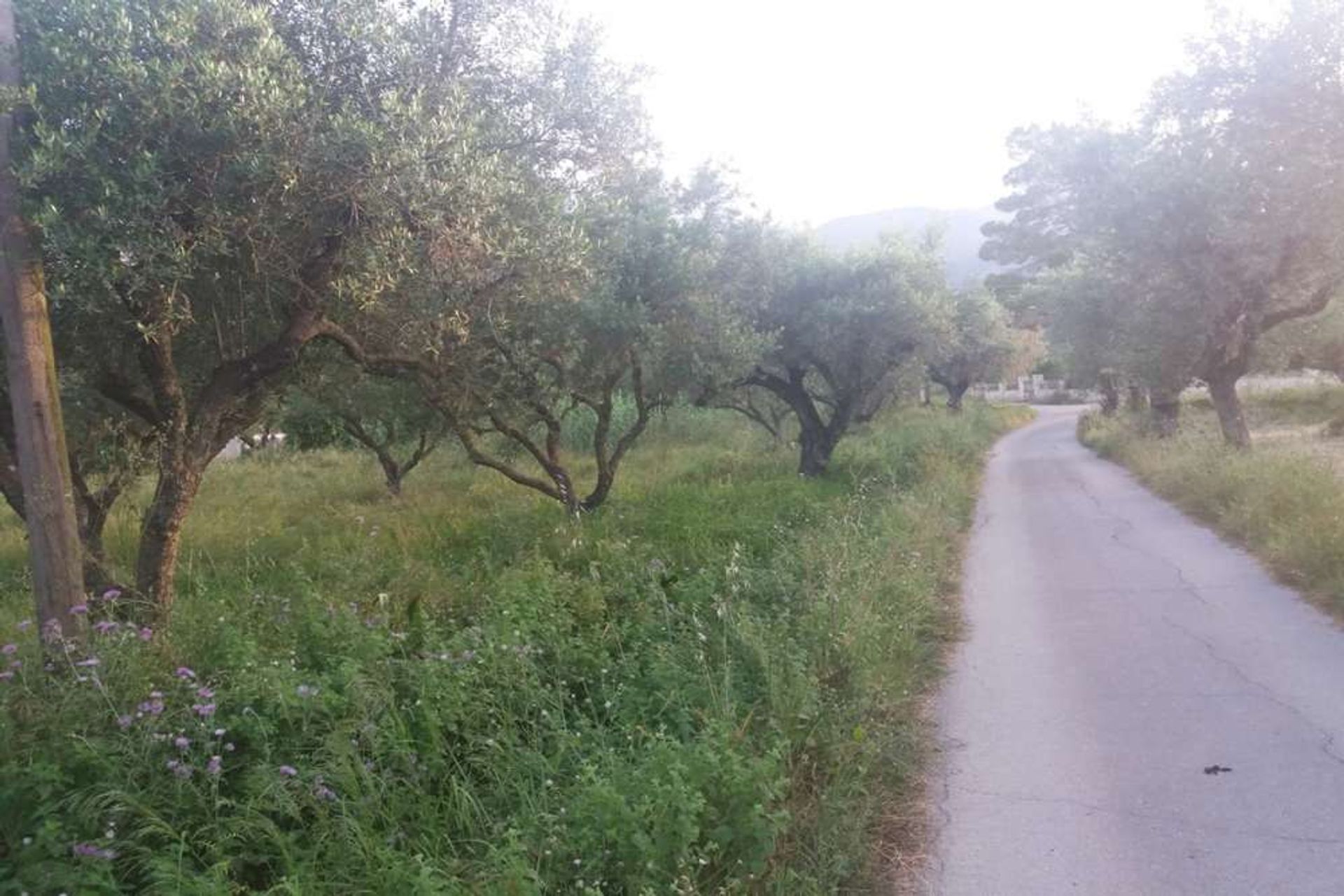 Будинок в Zakynthos, Zakinthos 10086902