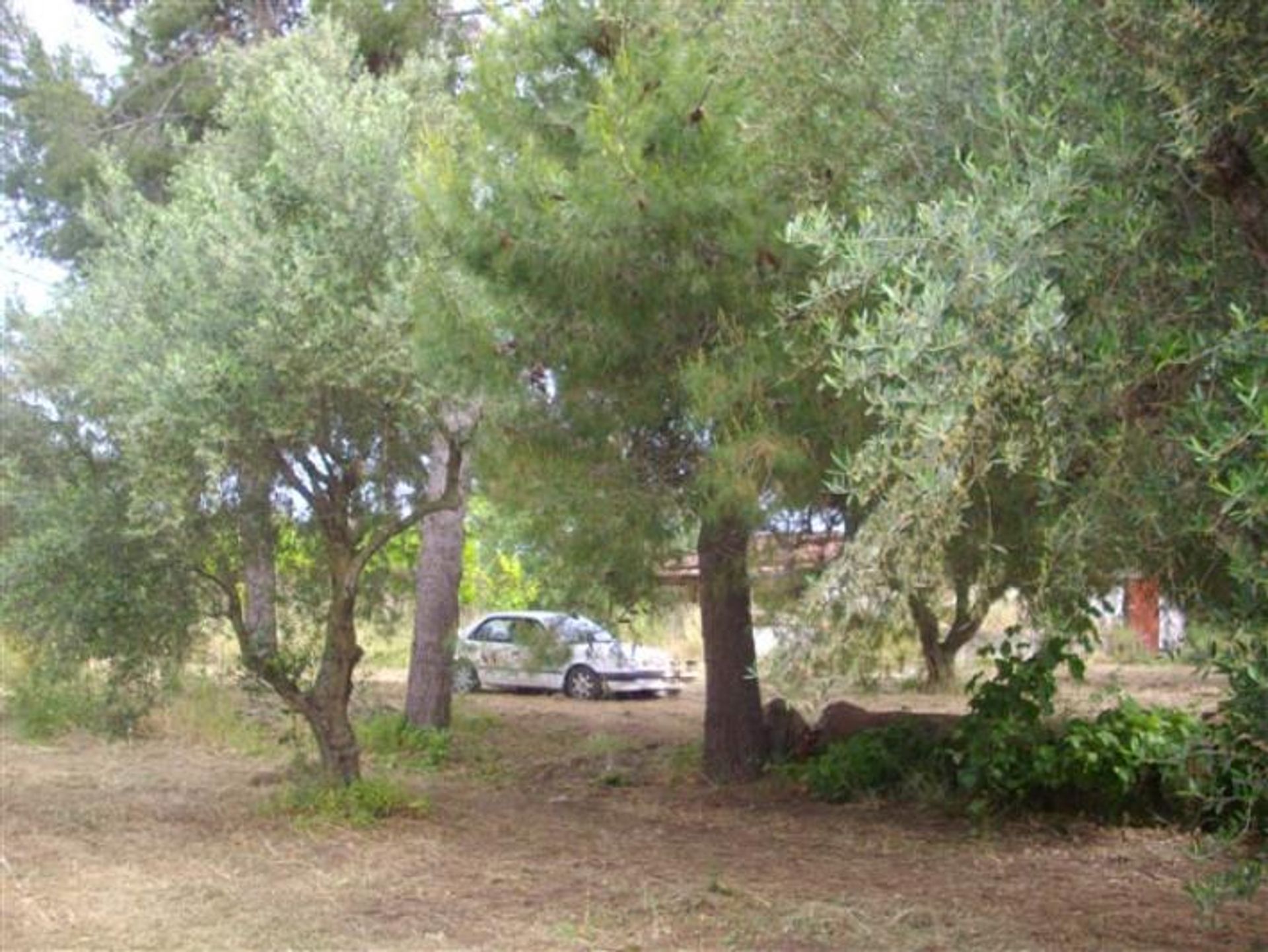 Будинок в Zakynthos, Zakinthos 10086925