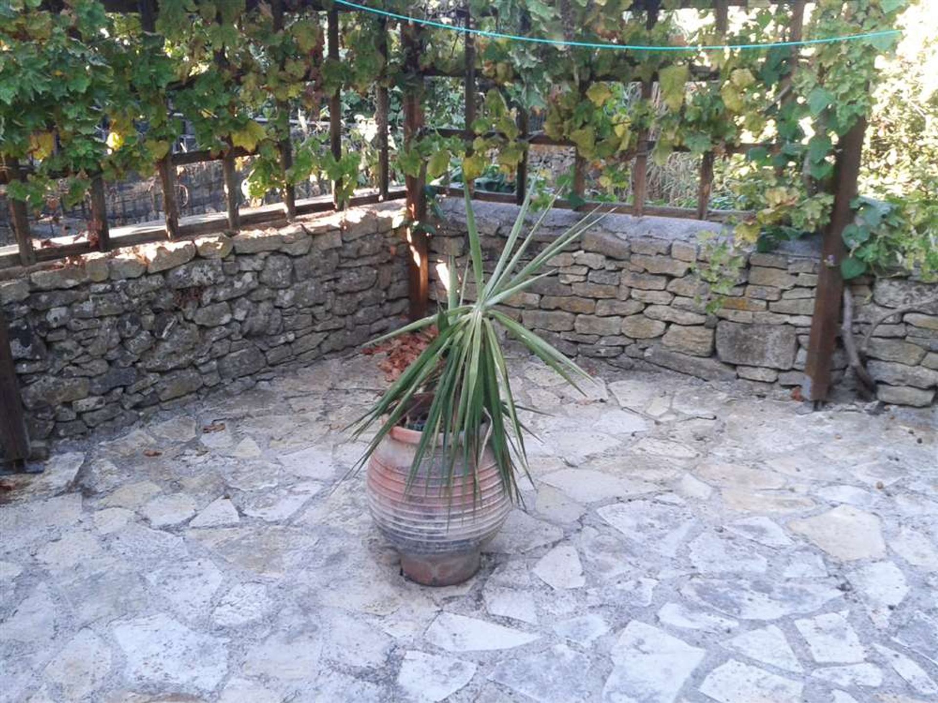 Hus i Zakynthos, Zakinthos 10086946