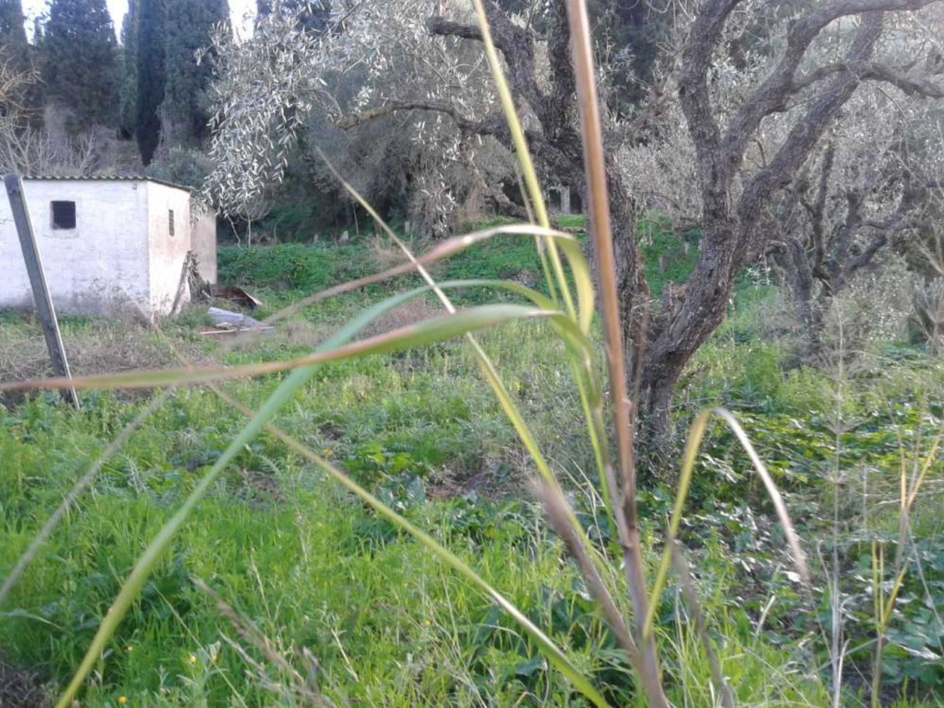 жилой дом в Zakynthos, Zakinthos 10086949