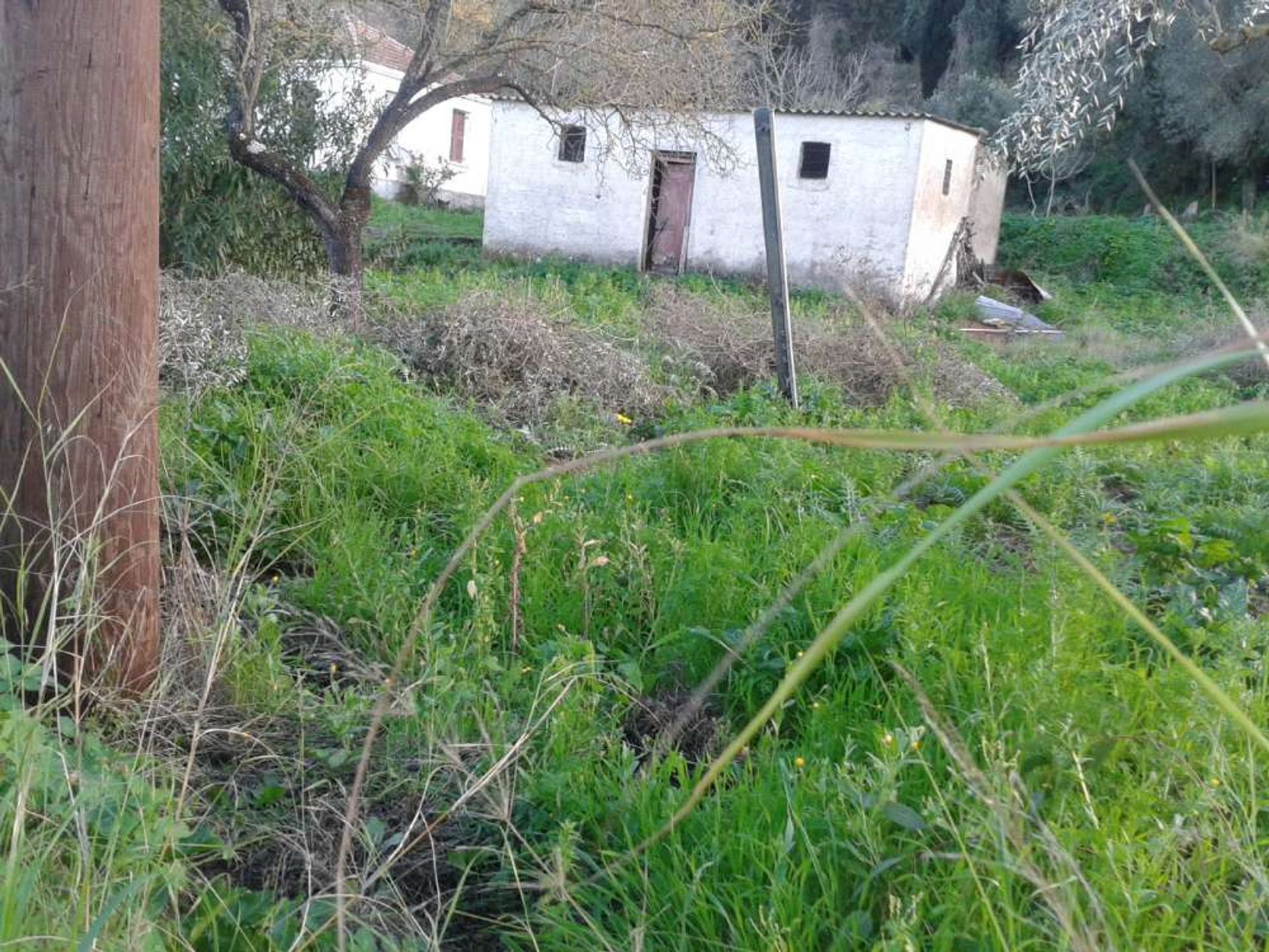 жилой дом в Zakynthos, Zakinthos 10086949