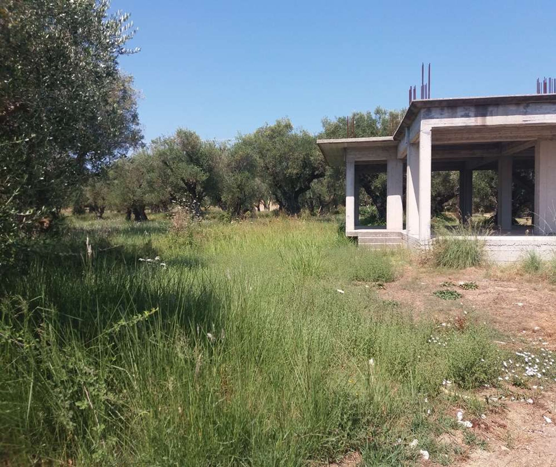 Casa nel Zakynthos, Zakinthos 10087117