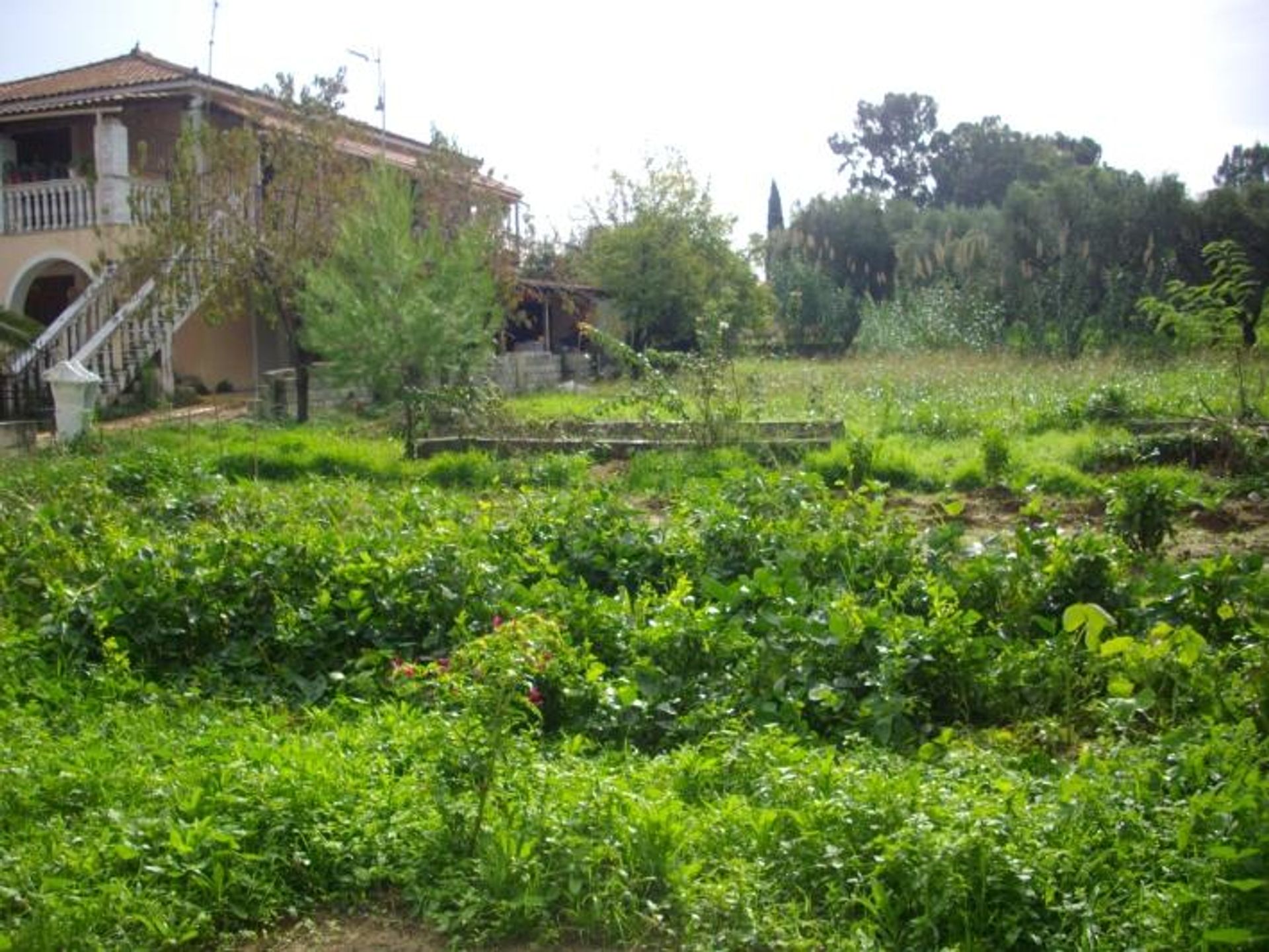 жилой дом в Zakynthos, Zakinthos 10087154