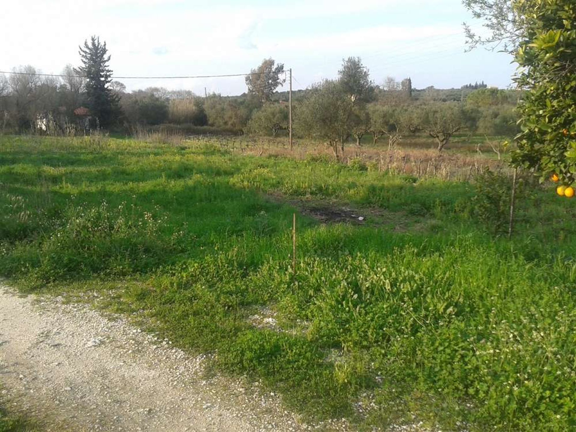 Rumah di Zakynthos, Zakinthos 10087178