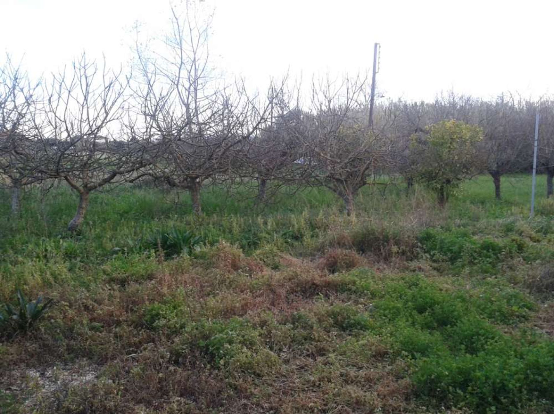 Hus i Zakynthos, Zakinthos 10087179