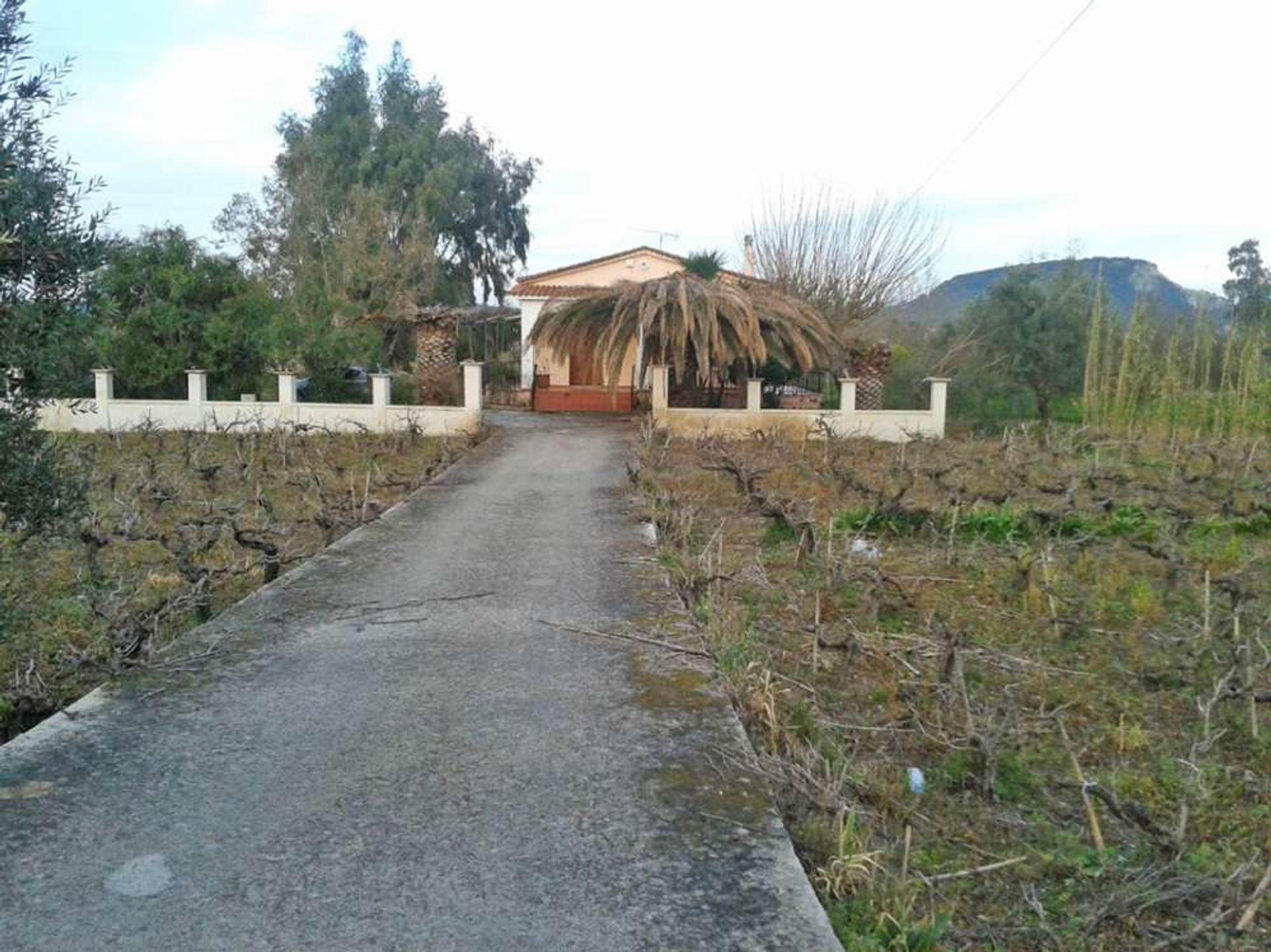 House in Bochali, Ionia Nisia 10087179