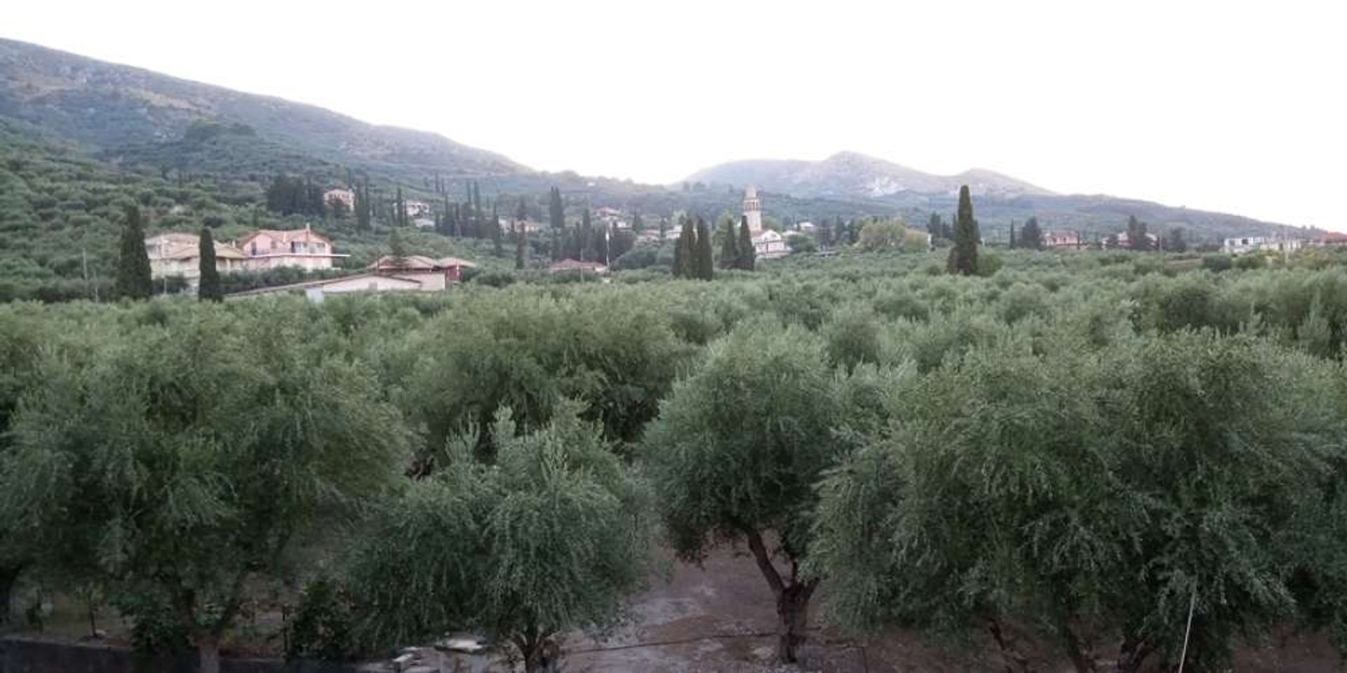 Hus i Zakynthos, Zakinthos 10087182