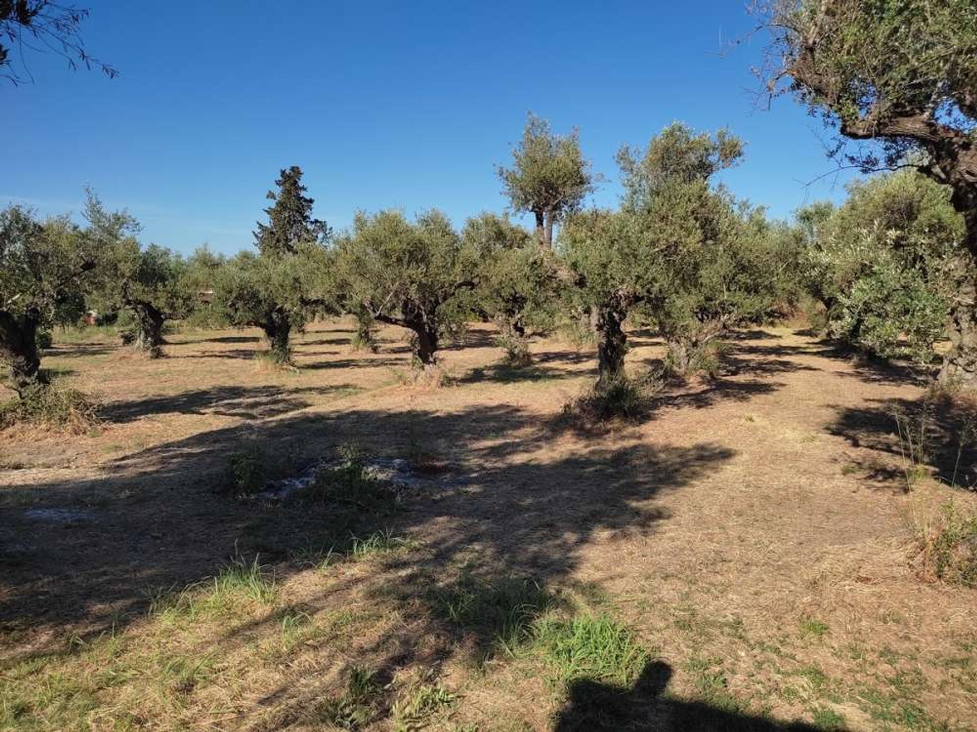 жилой дом в Zakynthos, Zakinthos 10087185