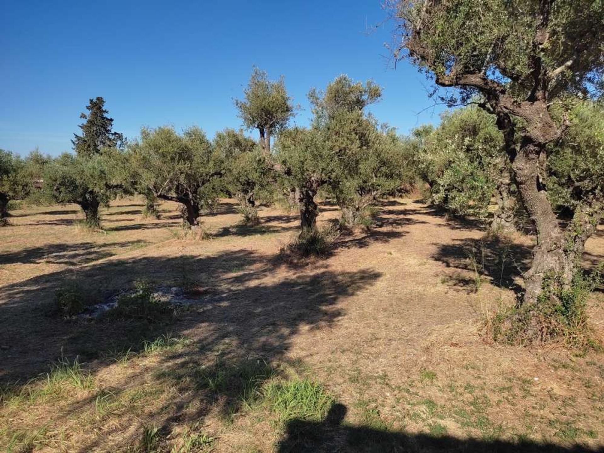 жилой дом в Zakynthos, Zakinthos 10087185