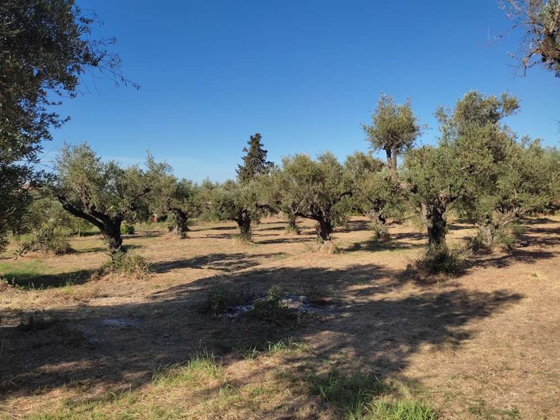 жилой дом в Zakynthos, Zakinthos 10087185