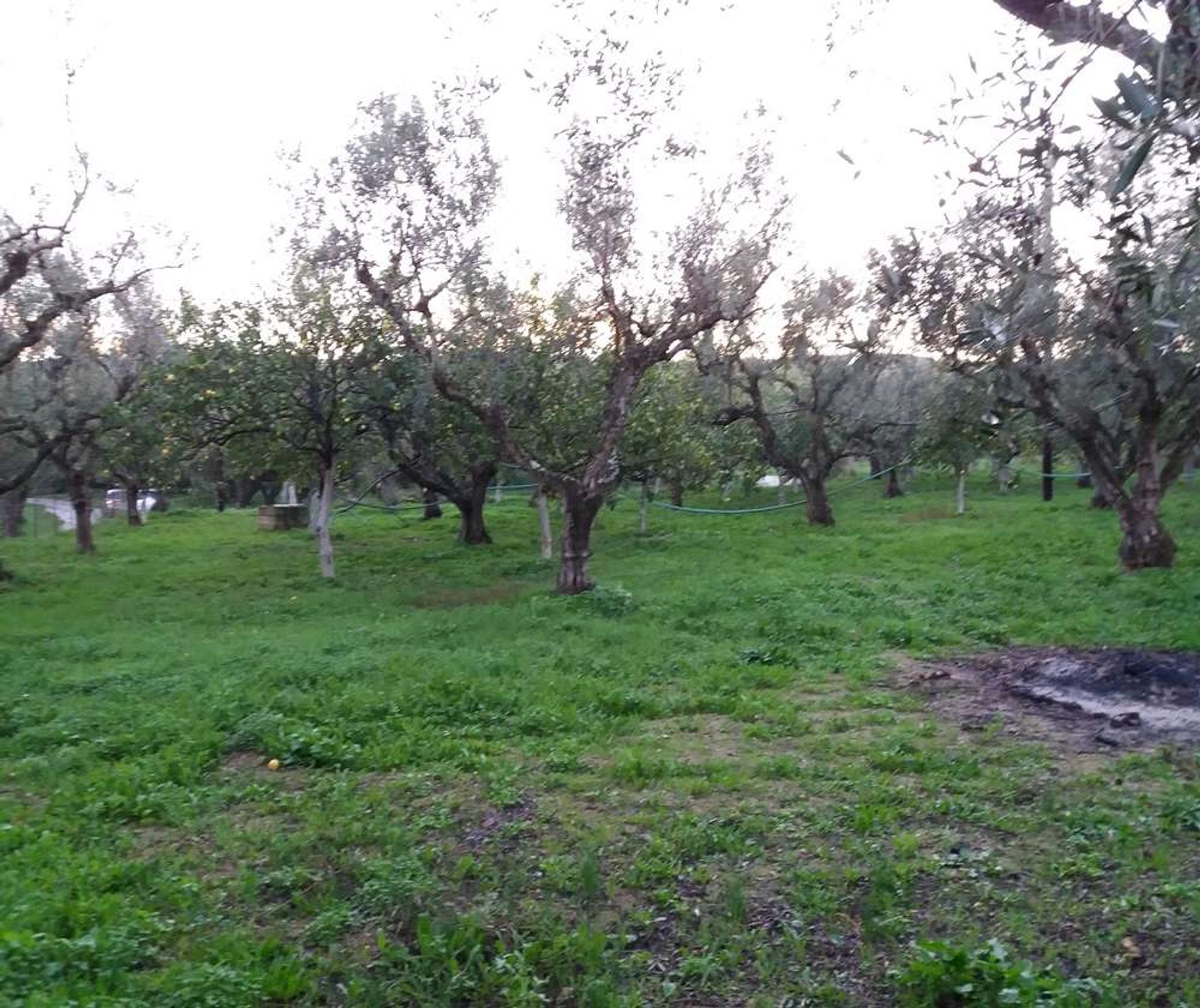 بيت في Zakynthos, Zakinthos 10087304