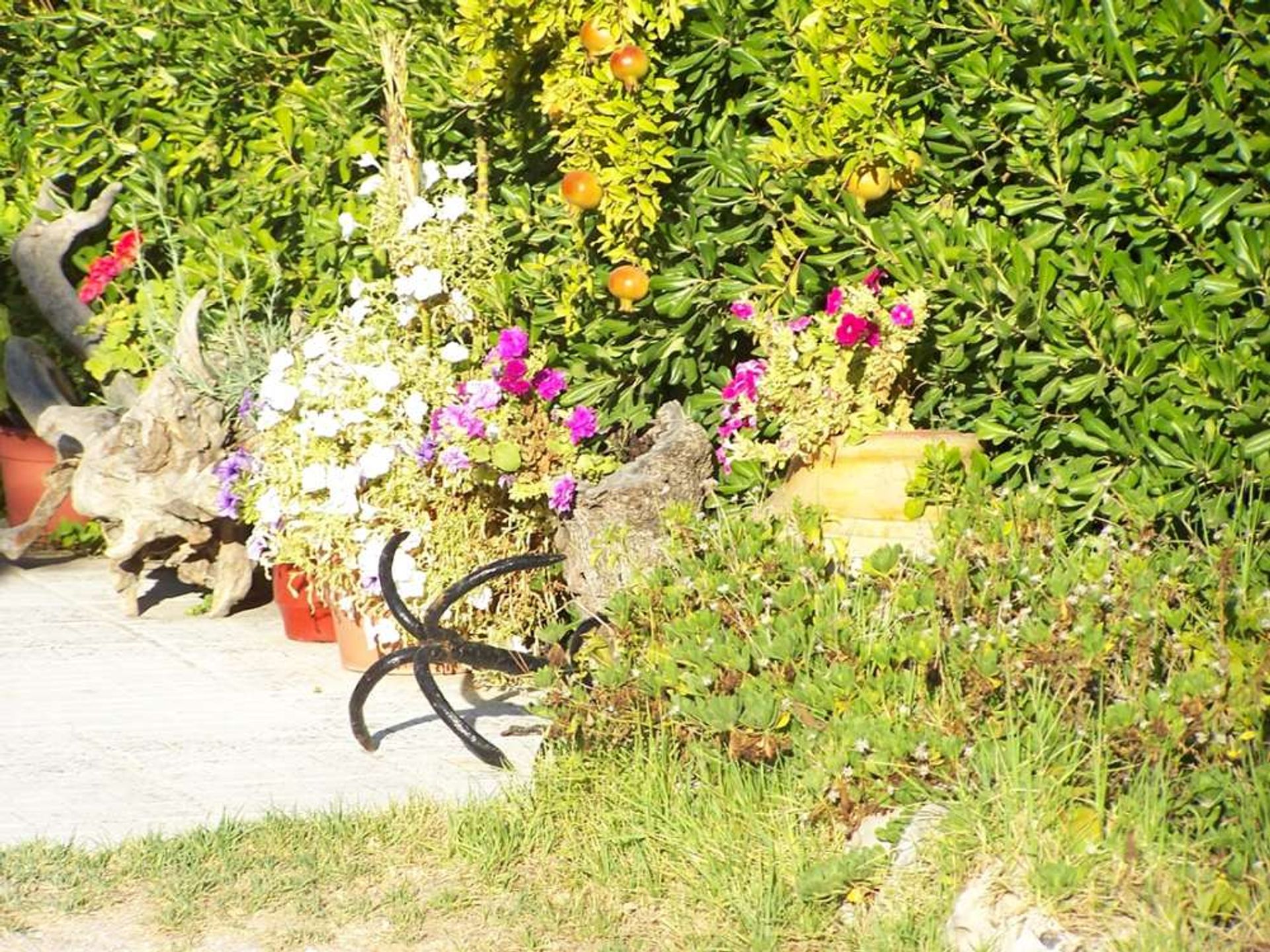 Haus im Zakynthos, Zakinthos 10087306