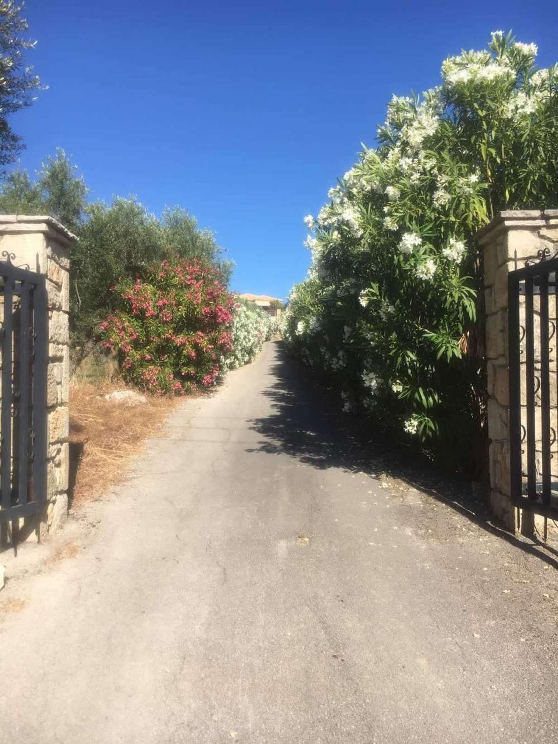 Haus im Zakynthos, Zakinthos 10087407