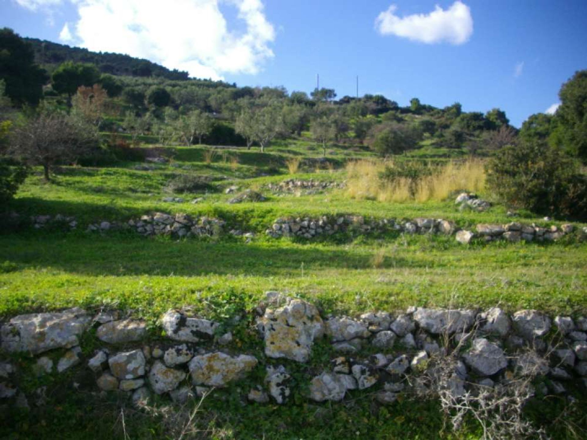 House in Zakynthos, Zakinthos 10087475