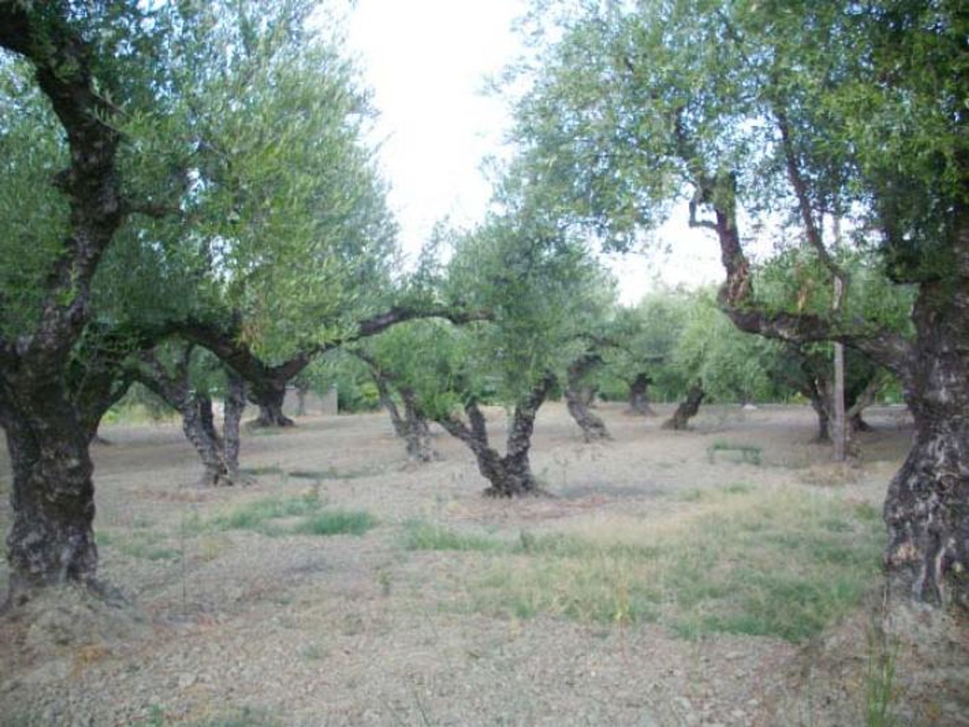 loger dans Zakynthos, Zakinthos 10087497