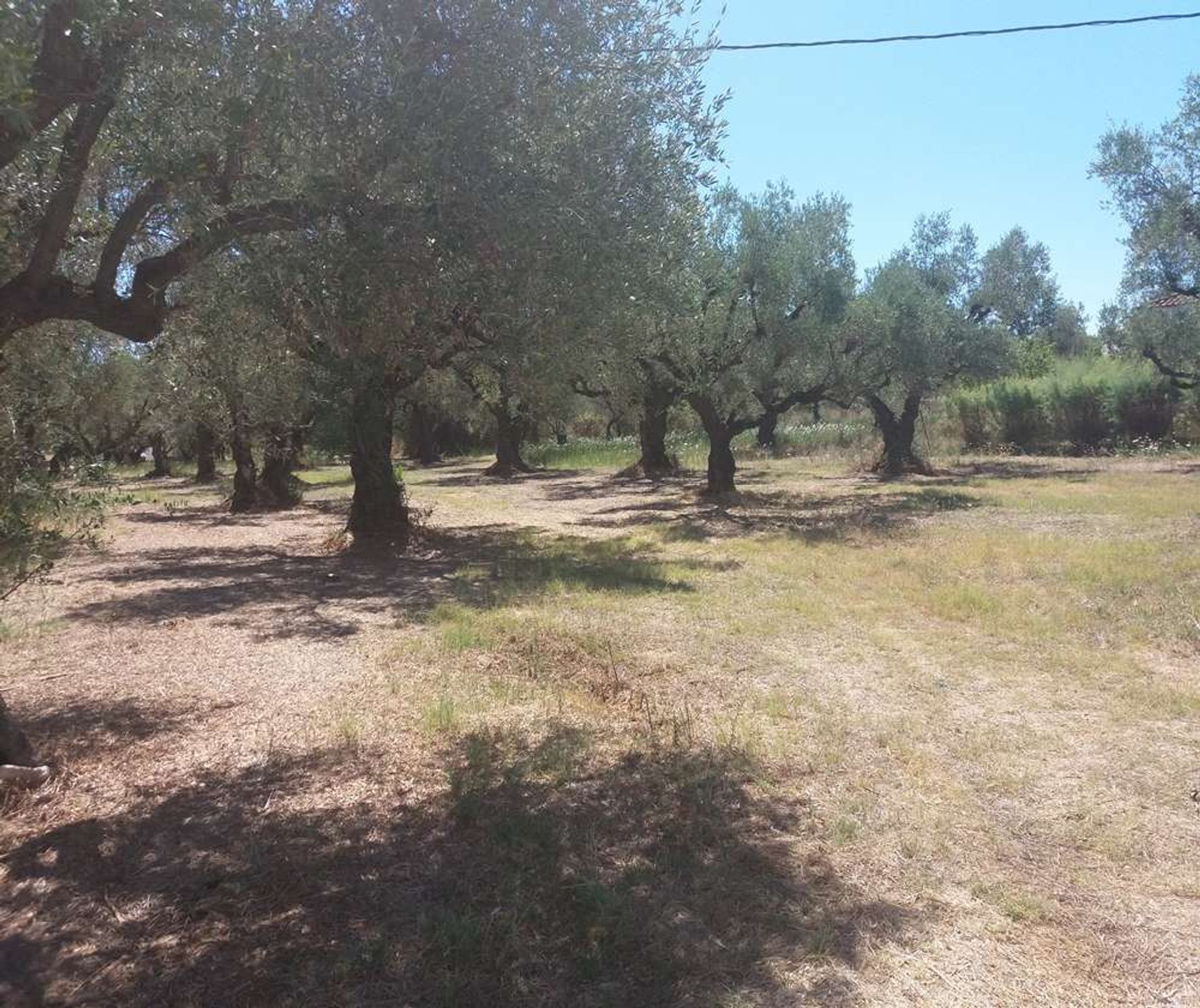 Λιανεμποριο σε Zakynthos, Zakinthos 10087525