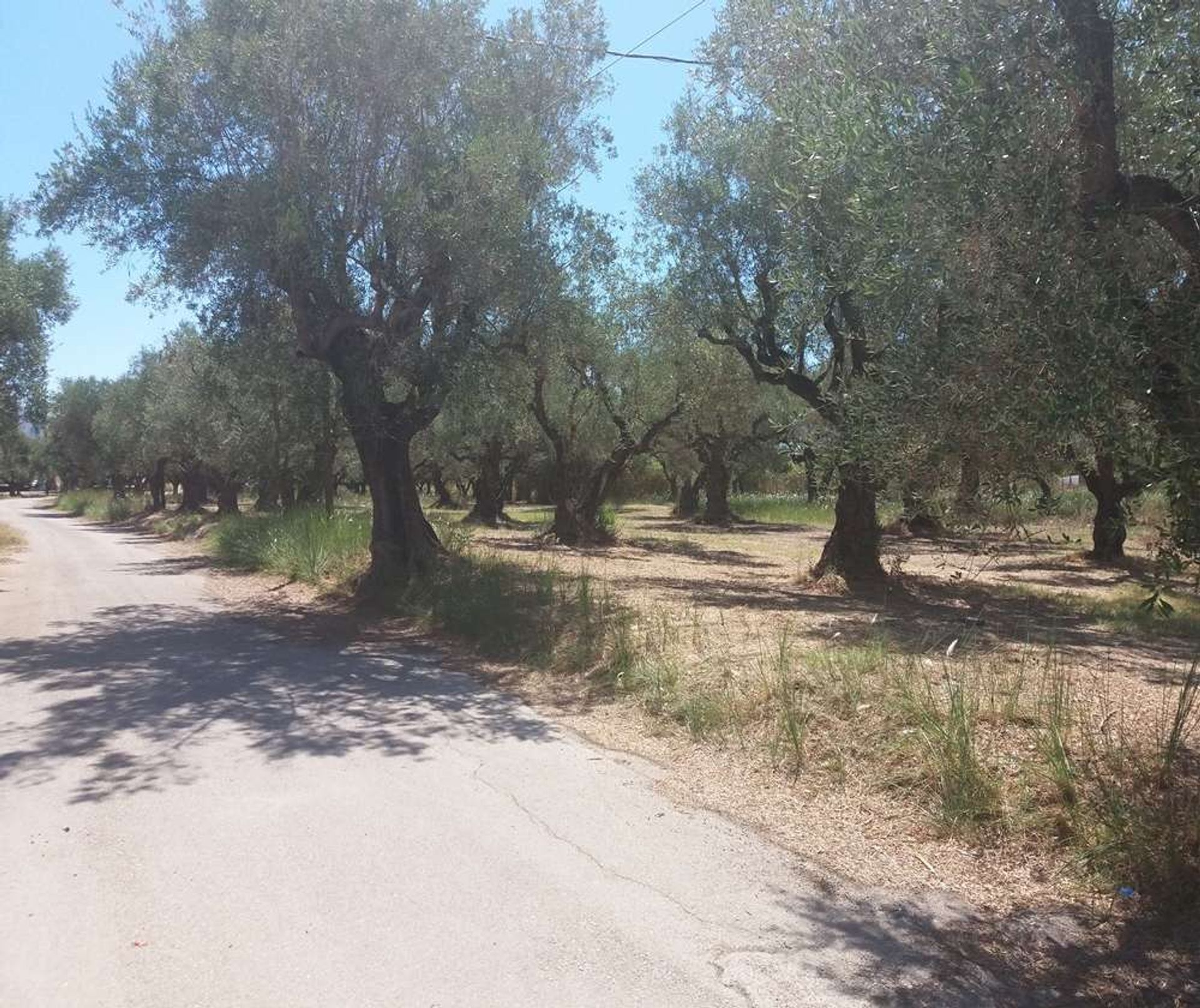 Detailhandel in Bochali, Ionië Nisia 10087525