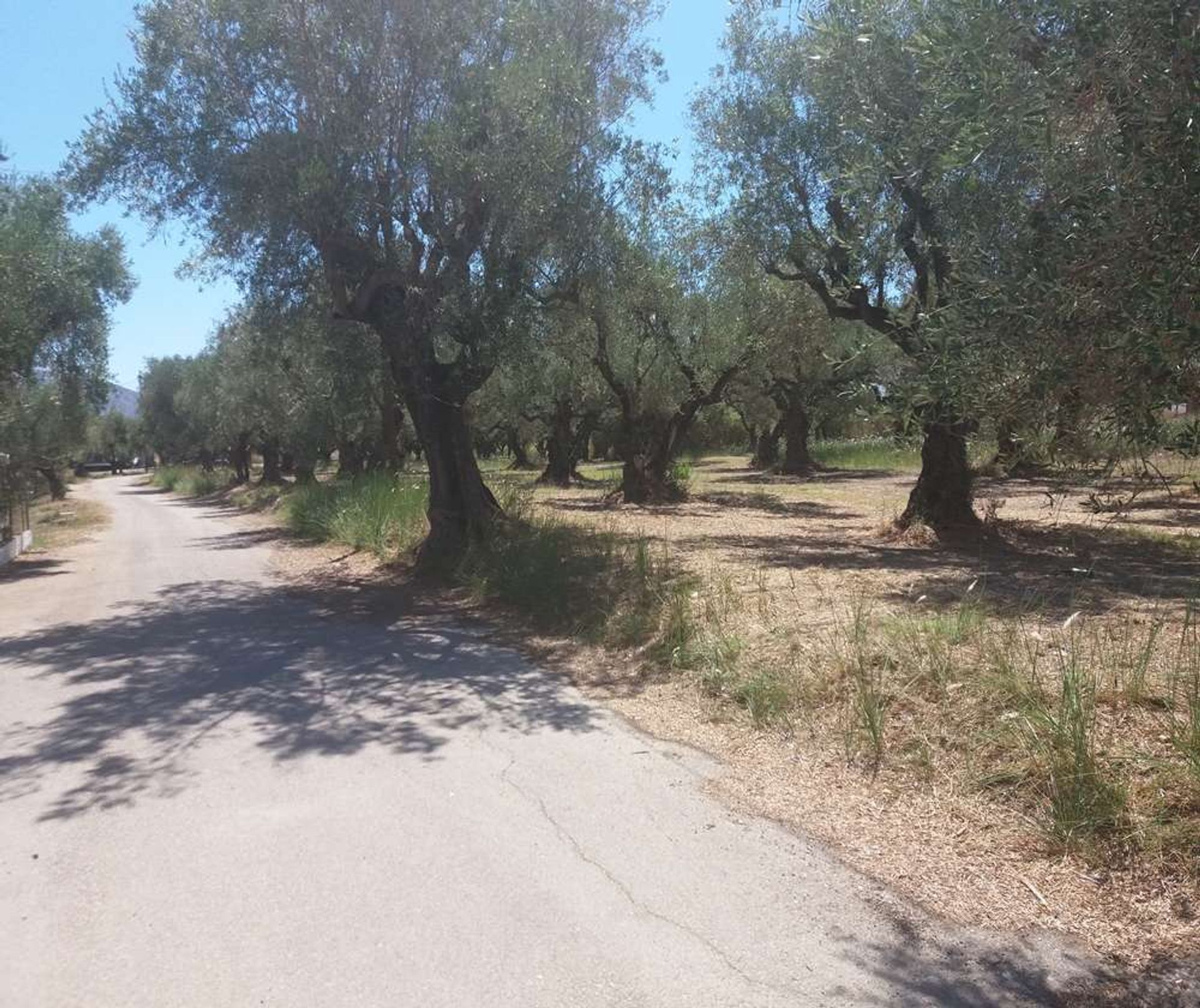 Einzelhandel im Zakynthos, Zakinthos 10087525