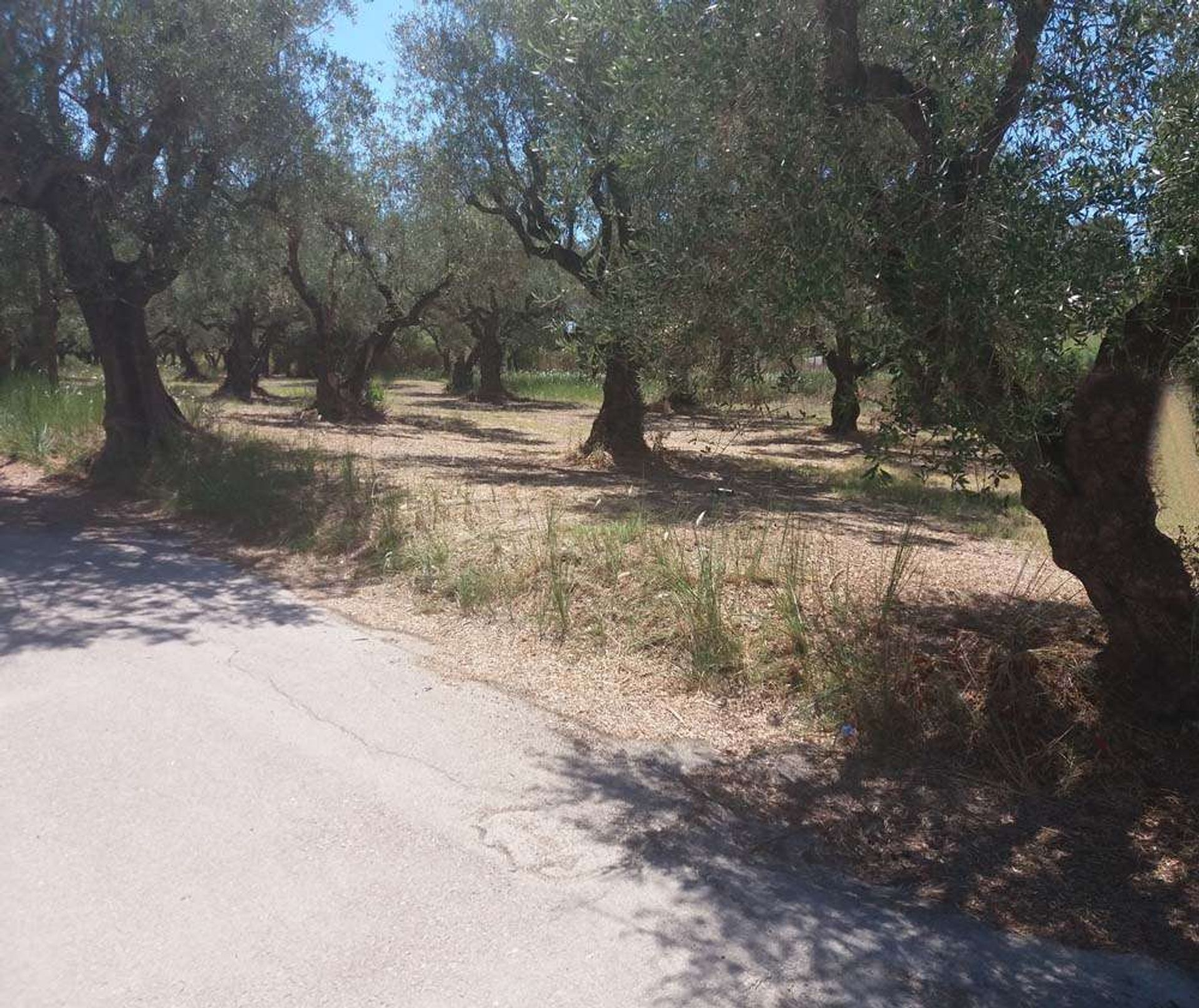 Λιανεμποριο σε Zakynthos, Zakinthos 10087527