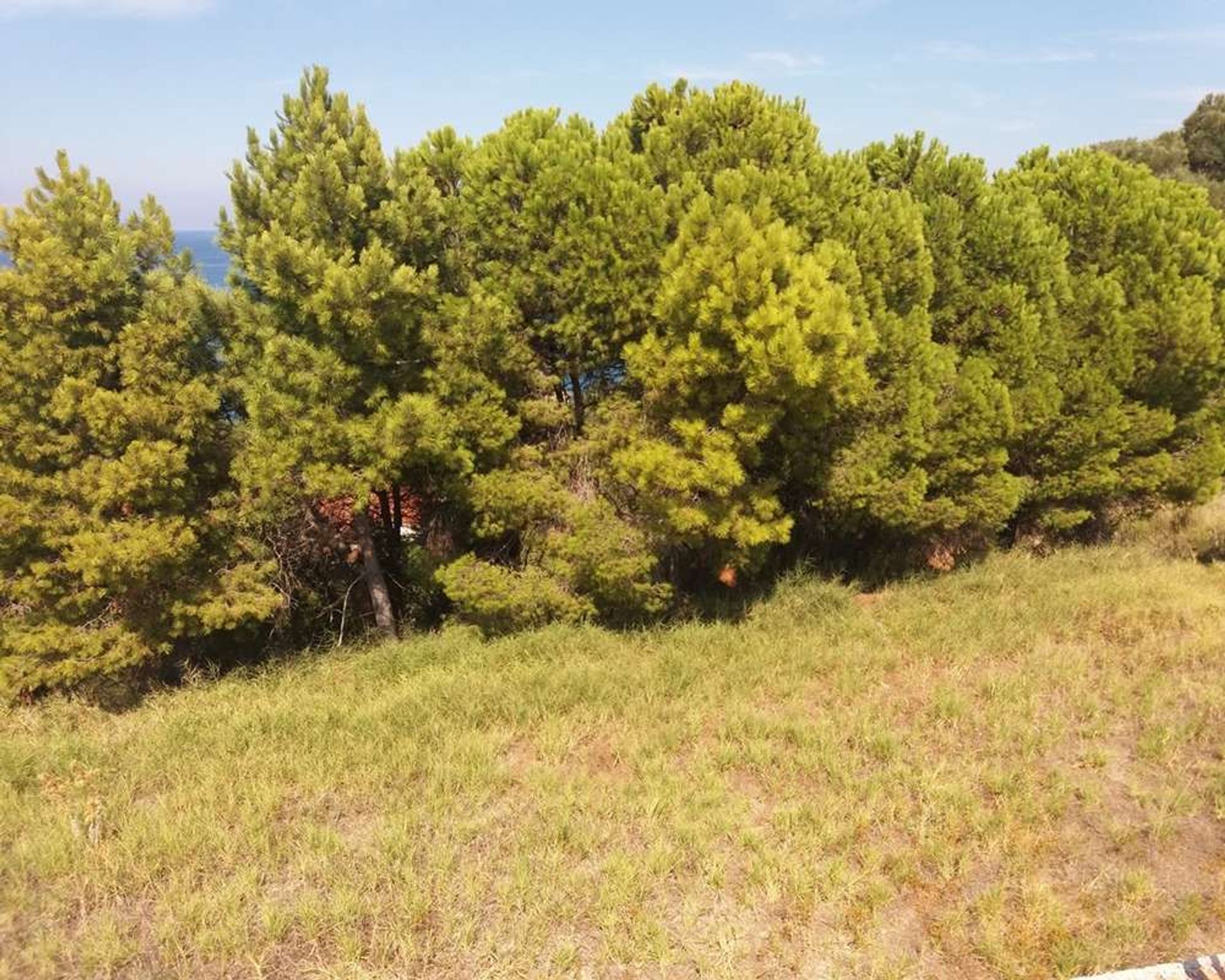 Λιανεμποριο σε Zakynthos, Zakinthos 10087535