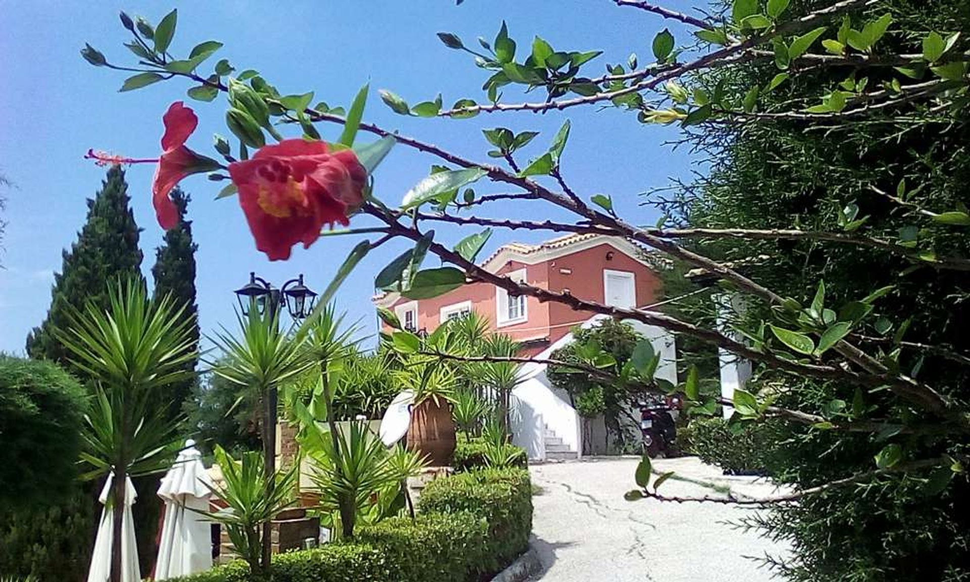 Detailhandel in Zakynthos, Zakinthos 10087539