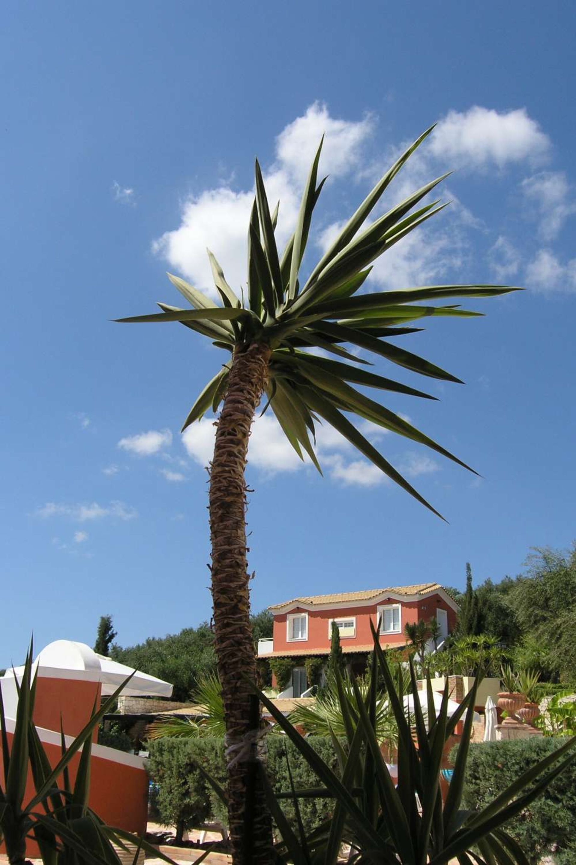 Detailhandel i Zakynthos, Zakinthos 10087539