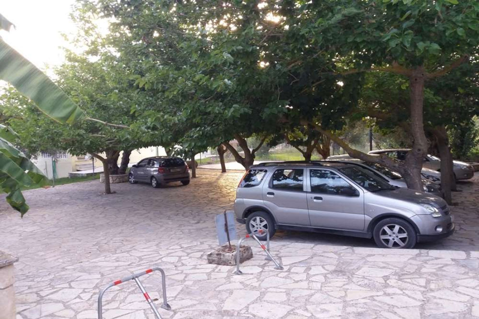 Detaljhandel i Zakynthos, Zakinthos 10087542