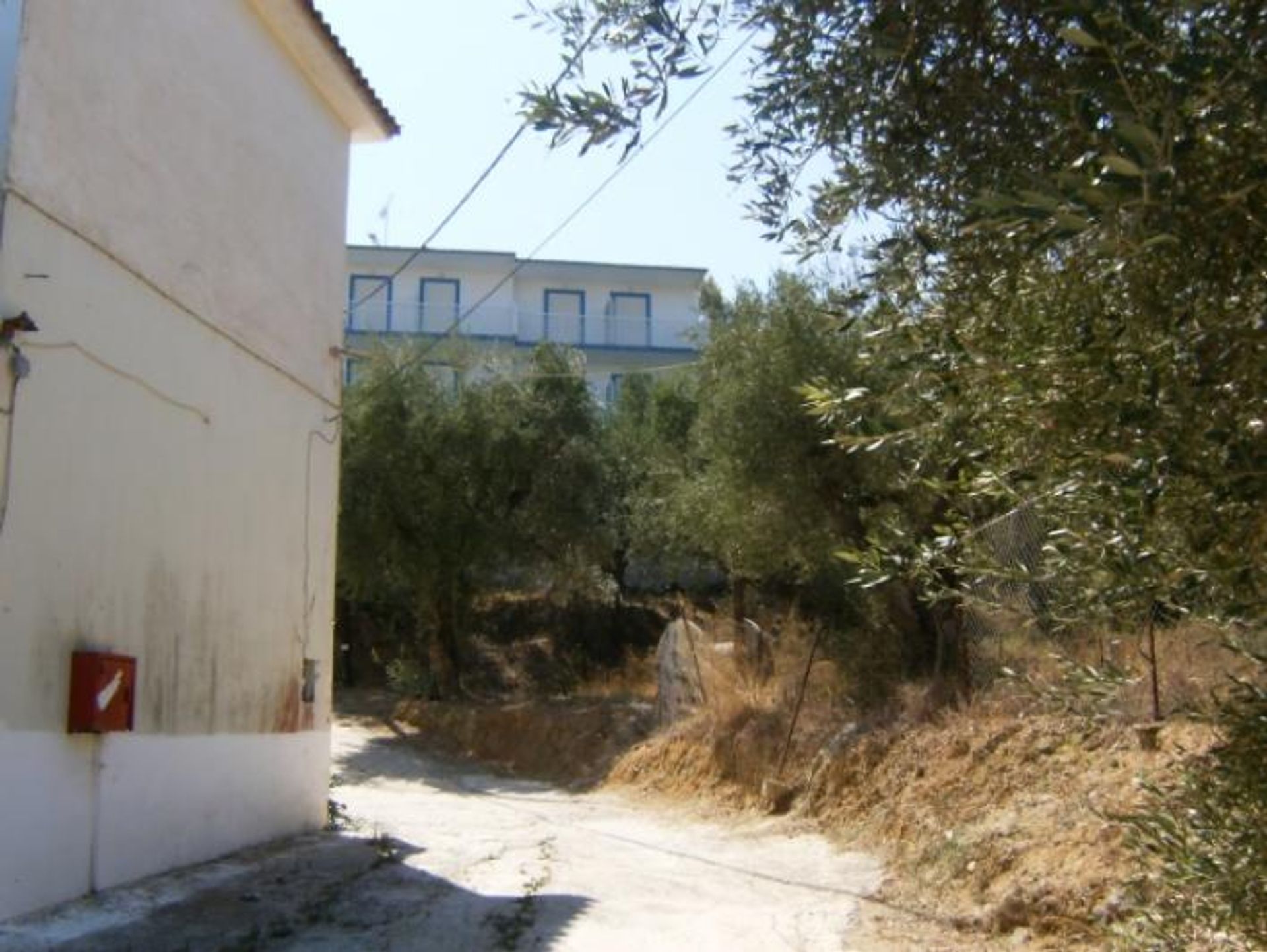 Détail dans Zakynthos, Zakinthos 10087548