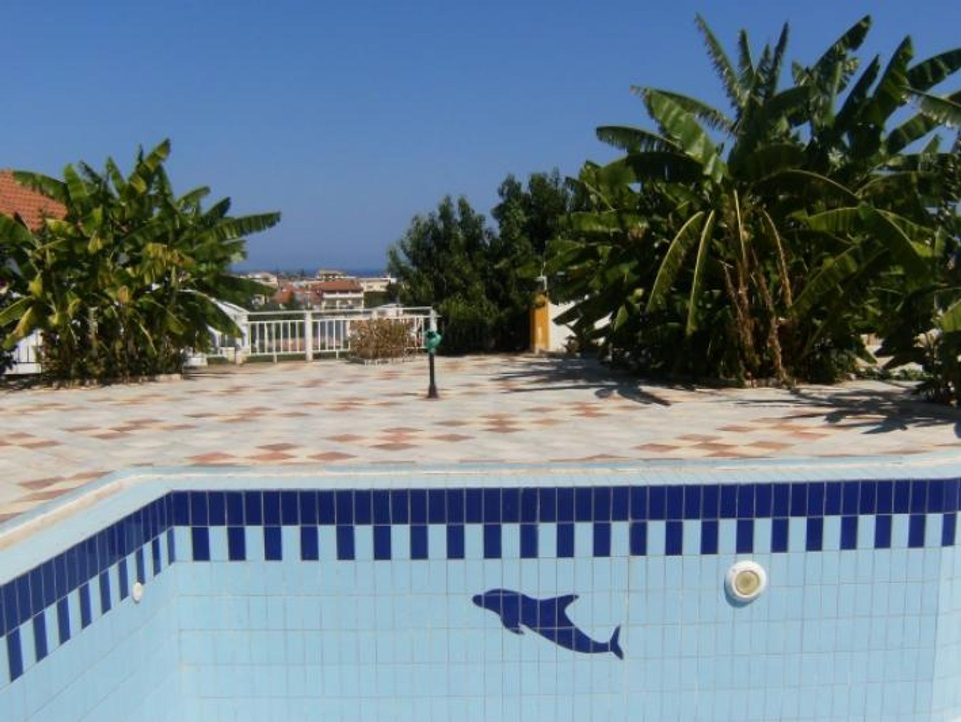 Détail dans Zakynthos, Zakinthos 10087548