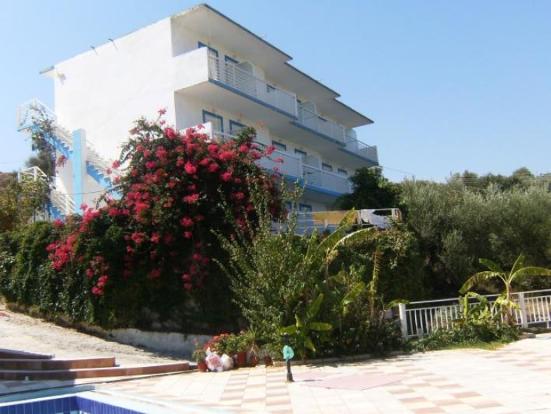 Détail dans Zakynthos, Zakinthos 10087548