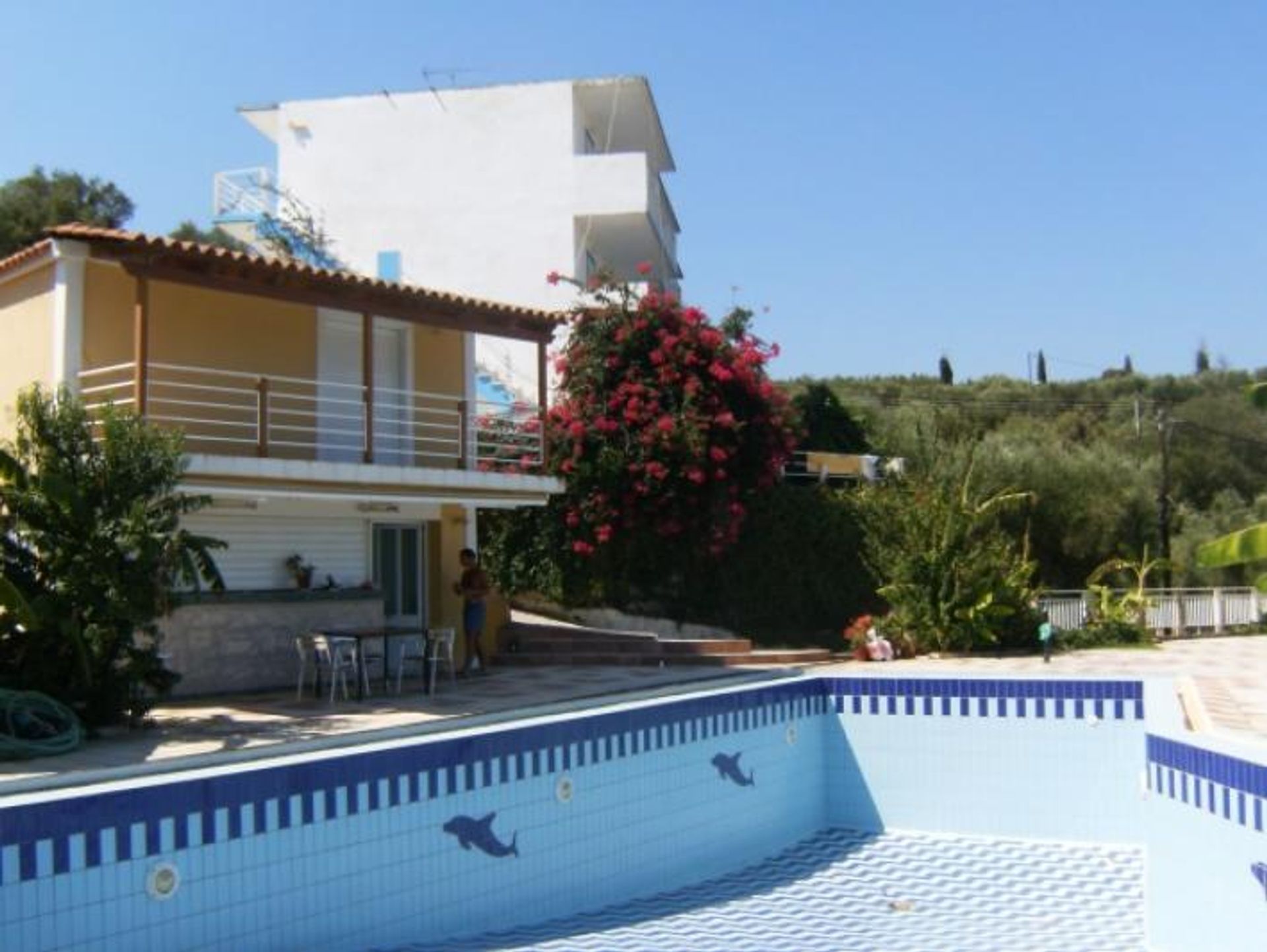 Détail dans Zakynthos, Zakinthos 10087548