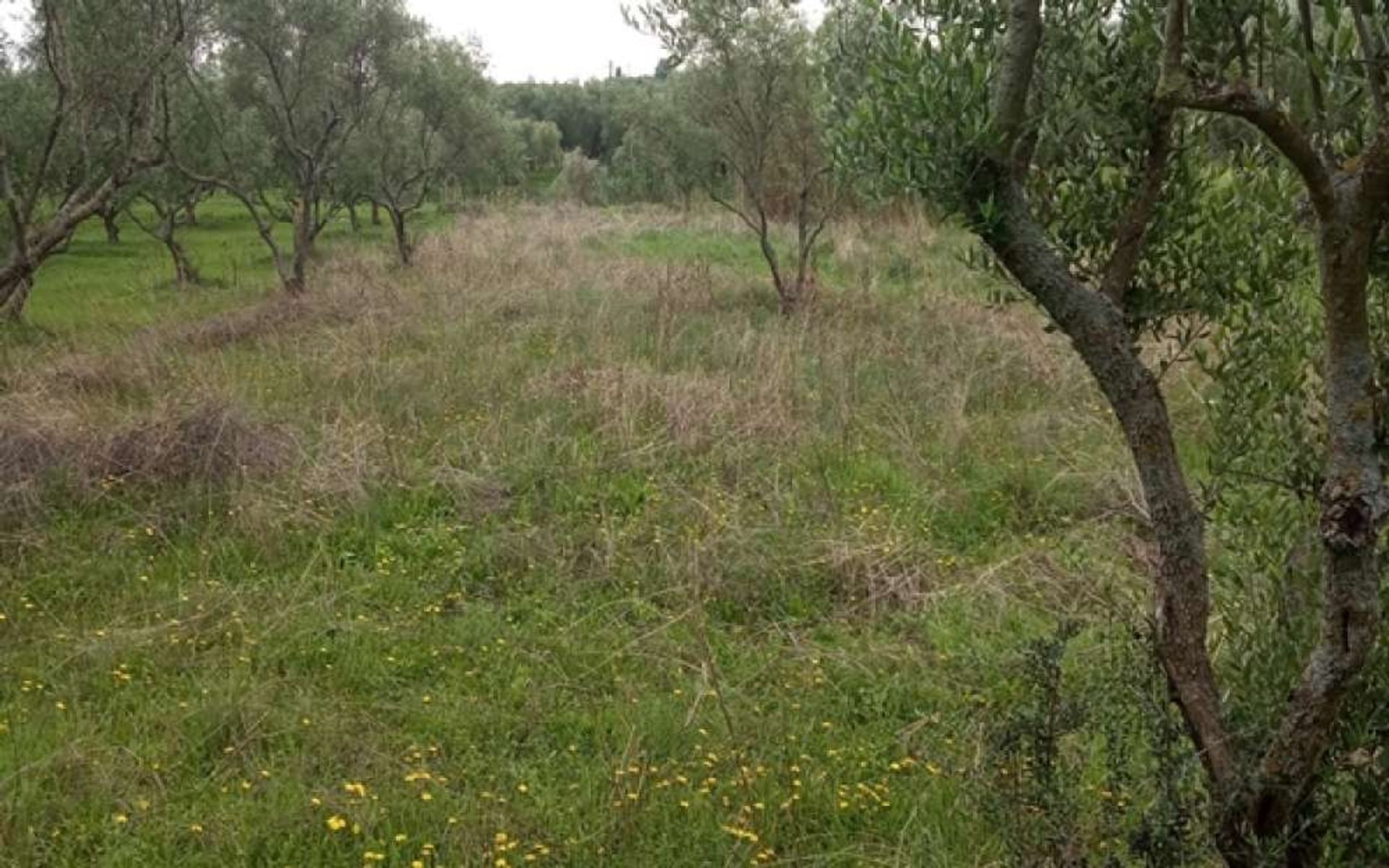 Земельные участки в Zakynthos, Zakinthos 10087653