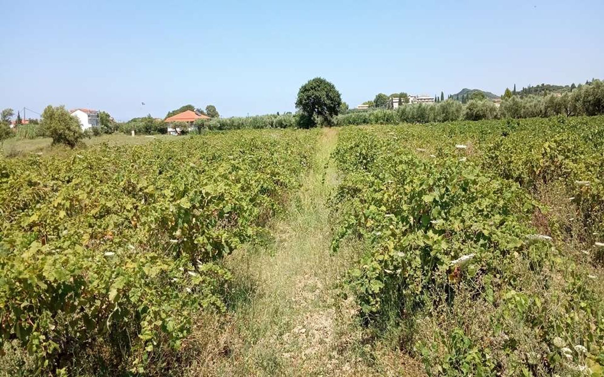 Земельные участки в Zakynthos, Zakinthos 10087655