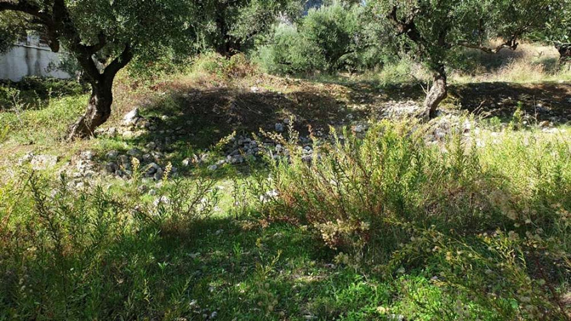 Land in Bochali, Ionië Nisia 10087656