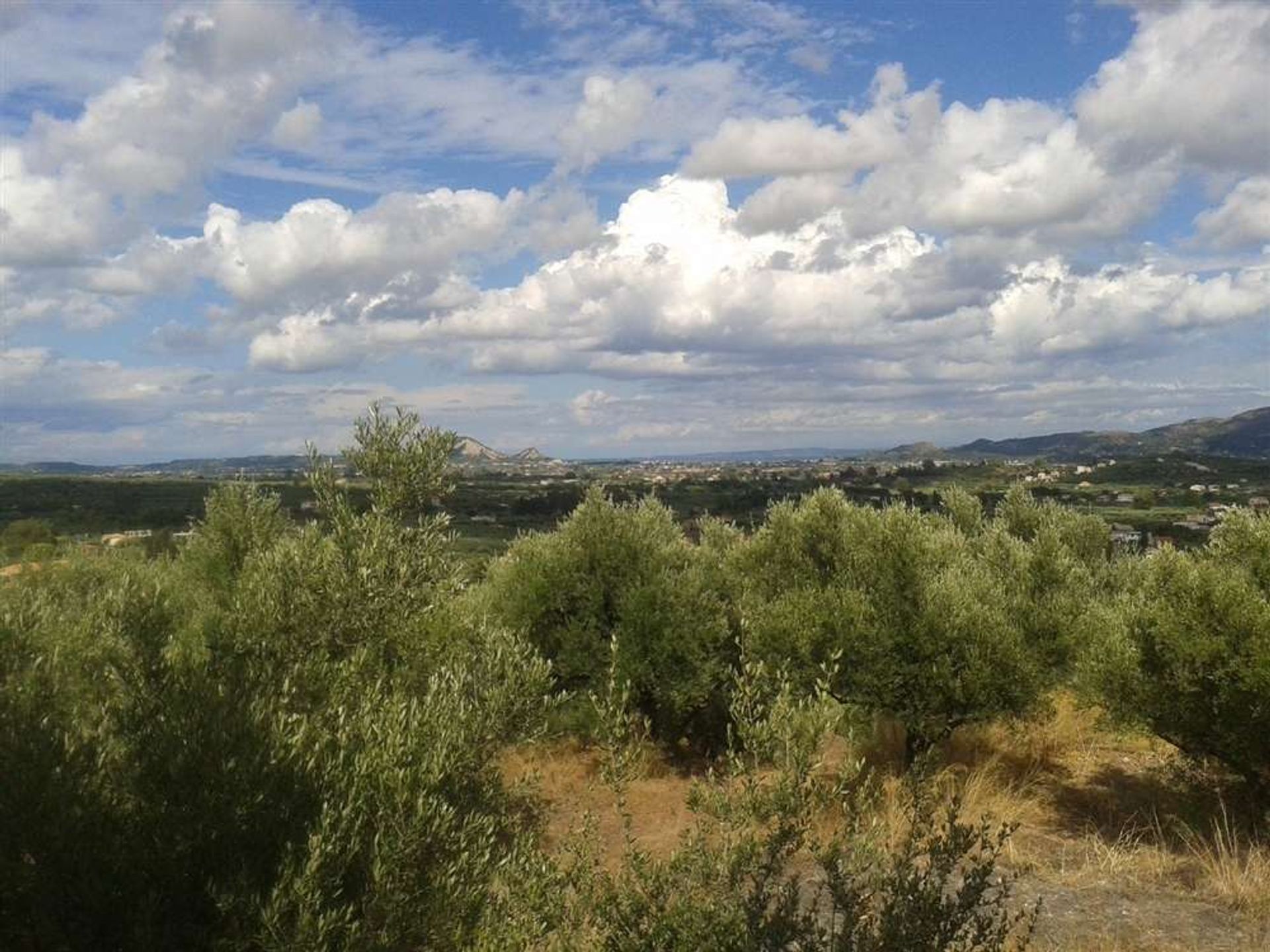 Land im Zakynthos, Zakinthos 10087657