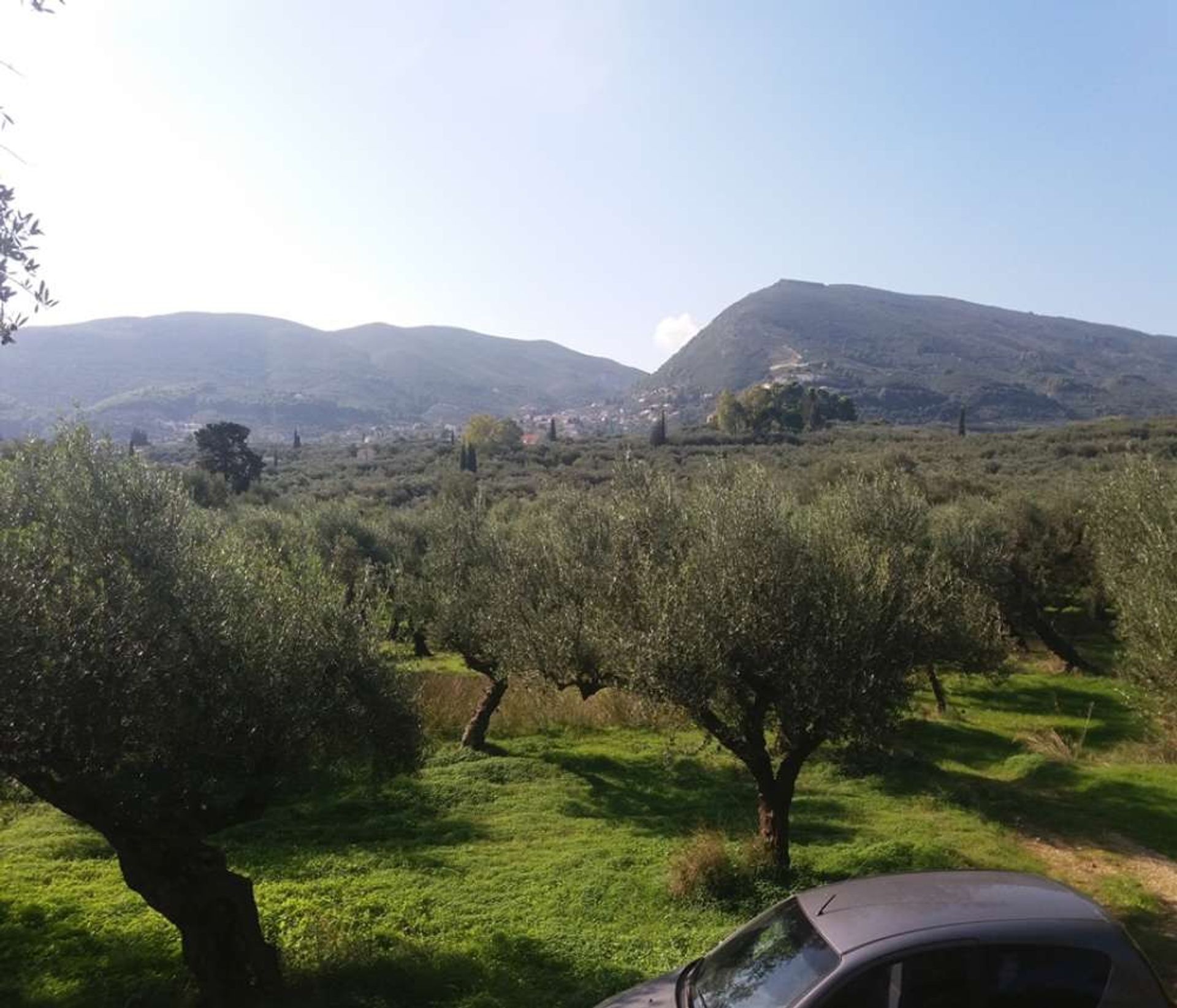 Terre dans Zakynthos, Zakinthos 10087660