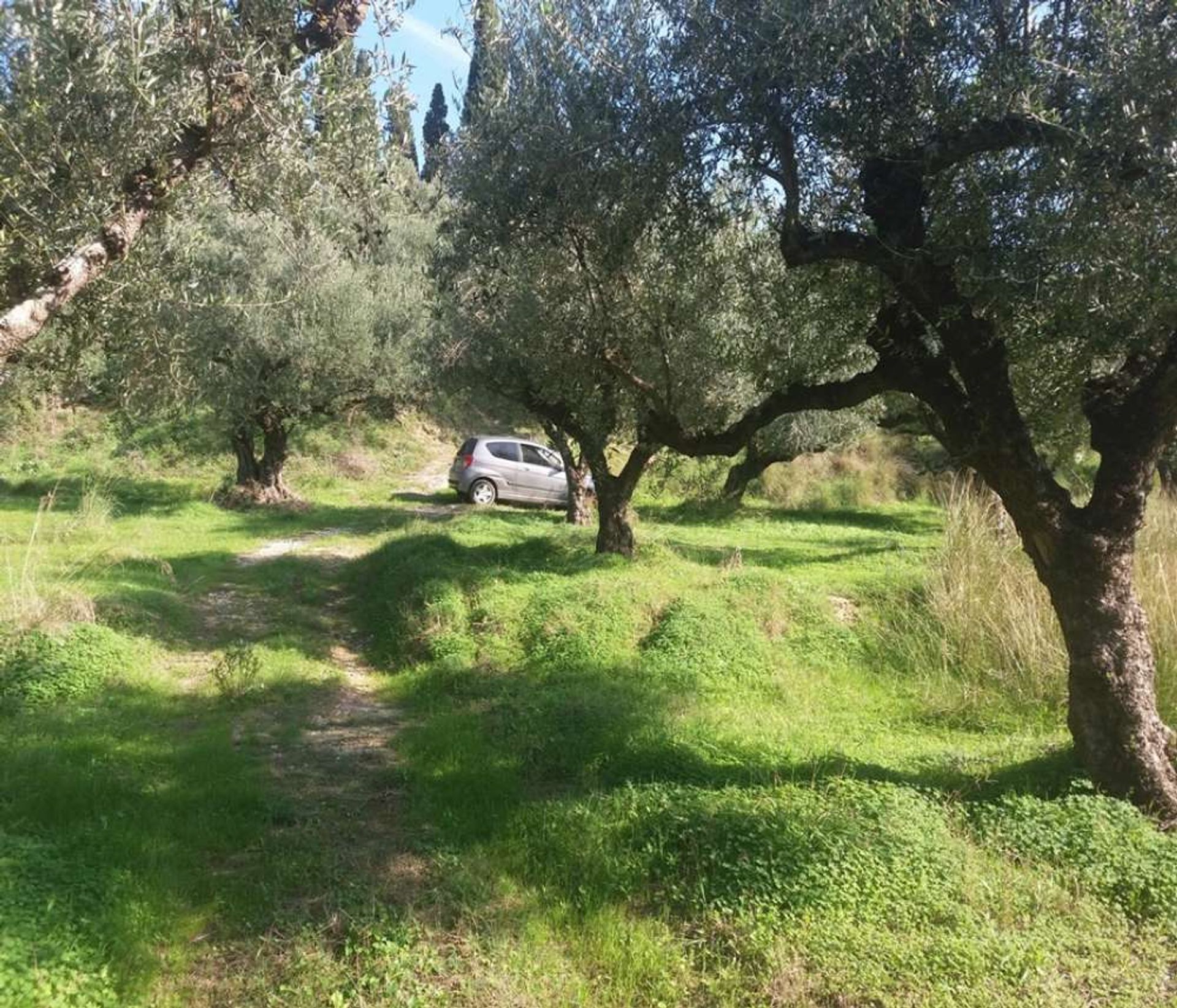 Terre dans Zakynthos, Zakinthos 10087660