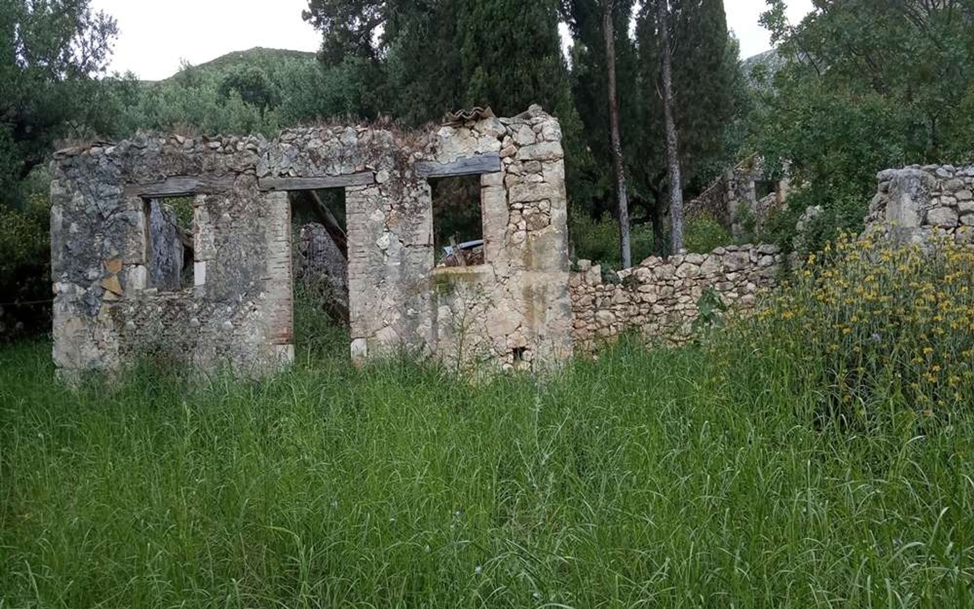 Tierra en bochalí, Jonia Nisia 10087662