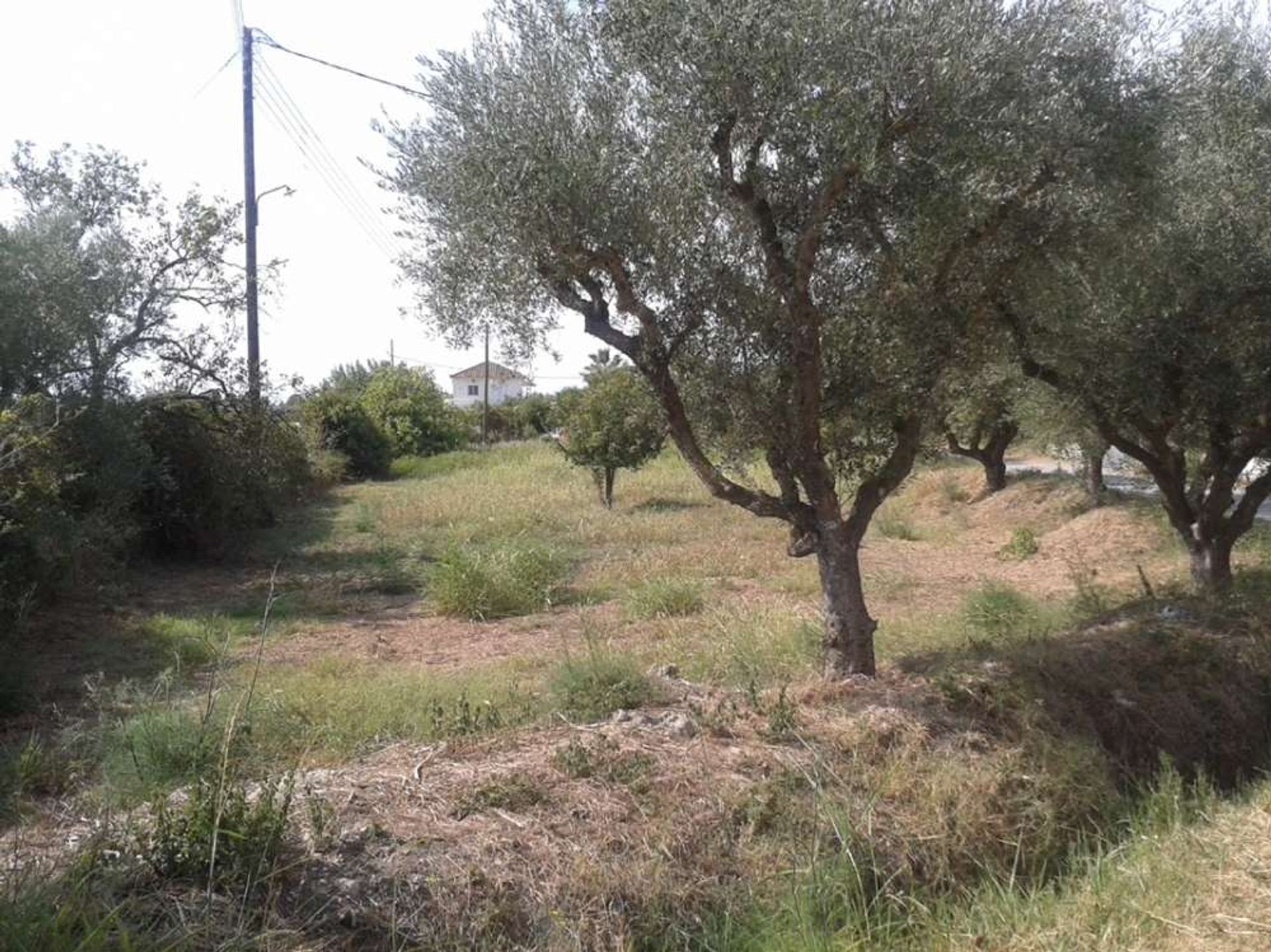 Land in Bochali, Ionië Nisia 10087663