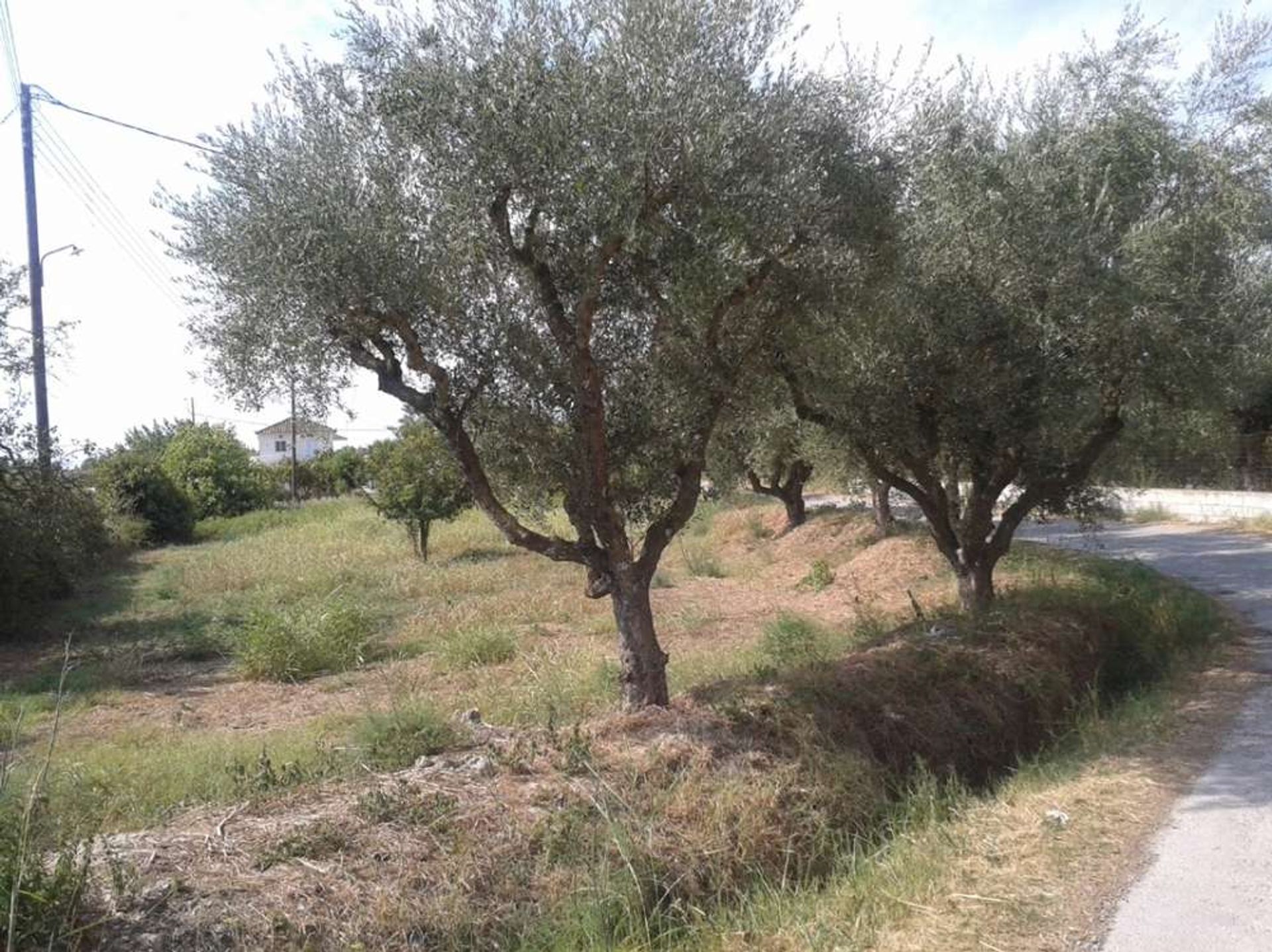 ארץ ב Zakynthos, Zakinthos 10087663