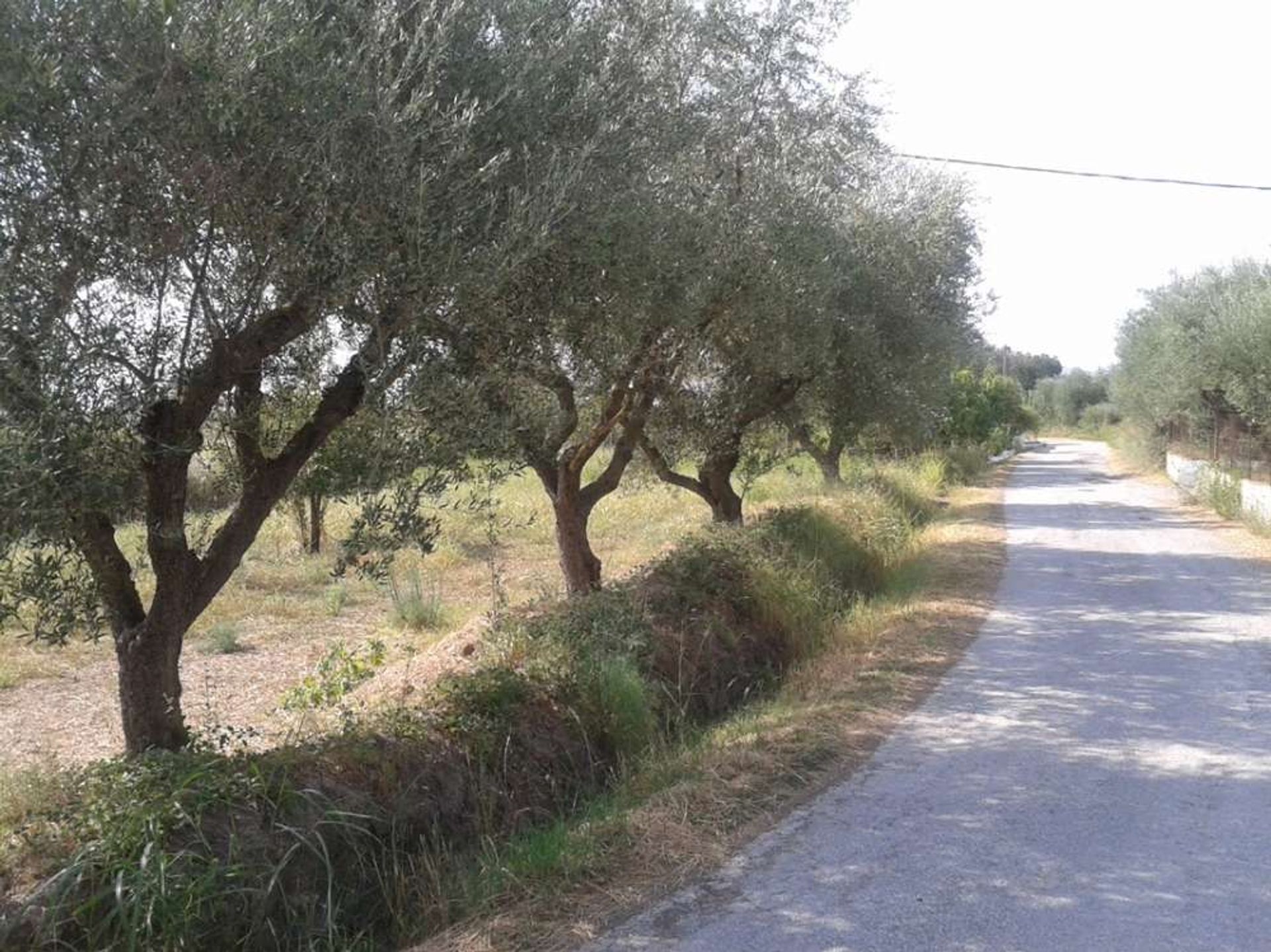 ארץ ב Zakynthos, Zakinthos 10087663