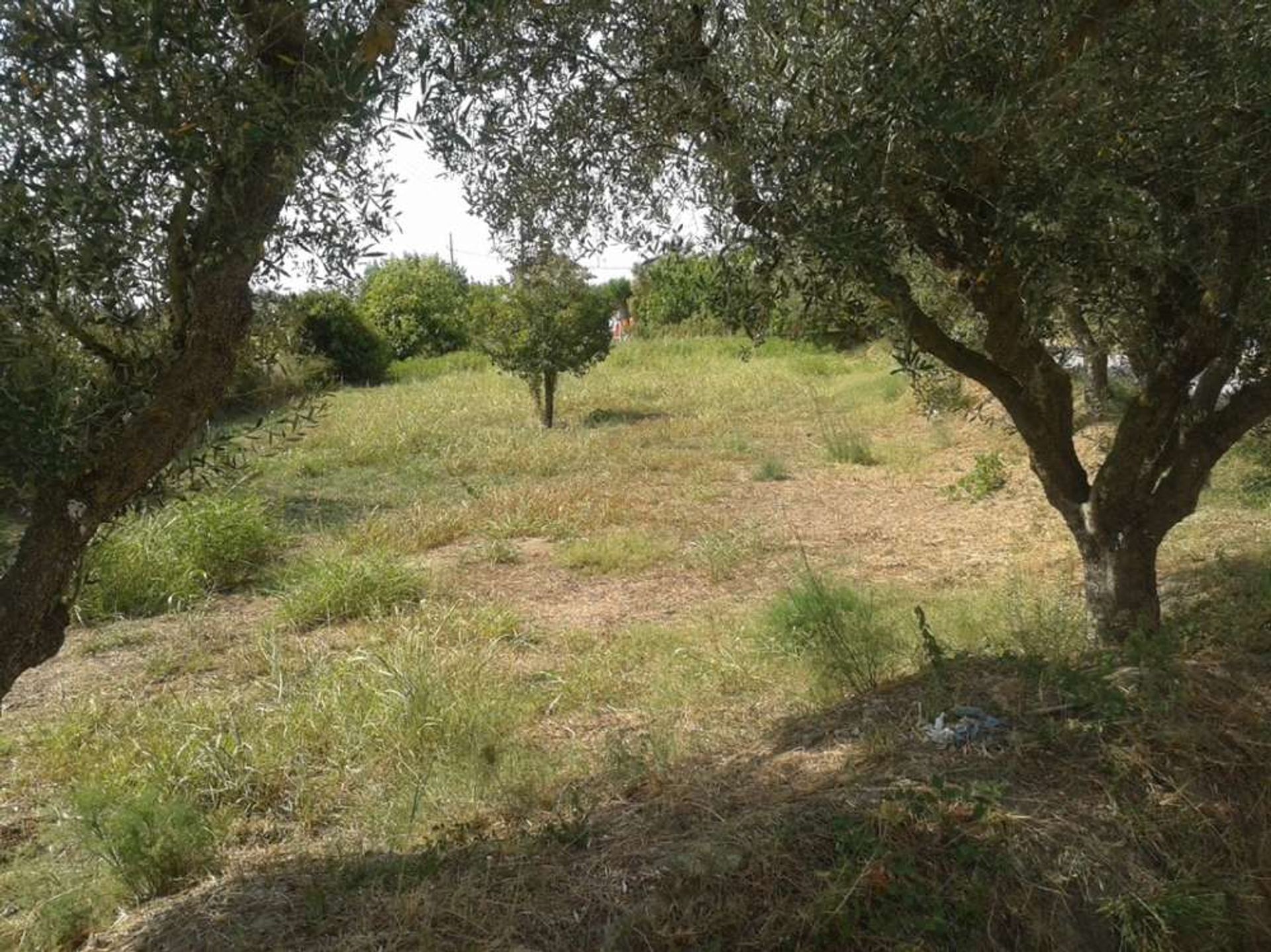 Land in Bochali, Ionië Nisia 10087663