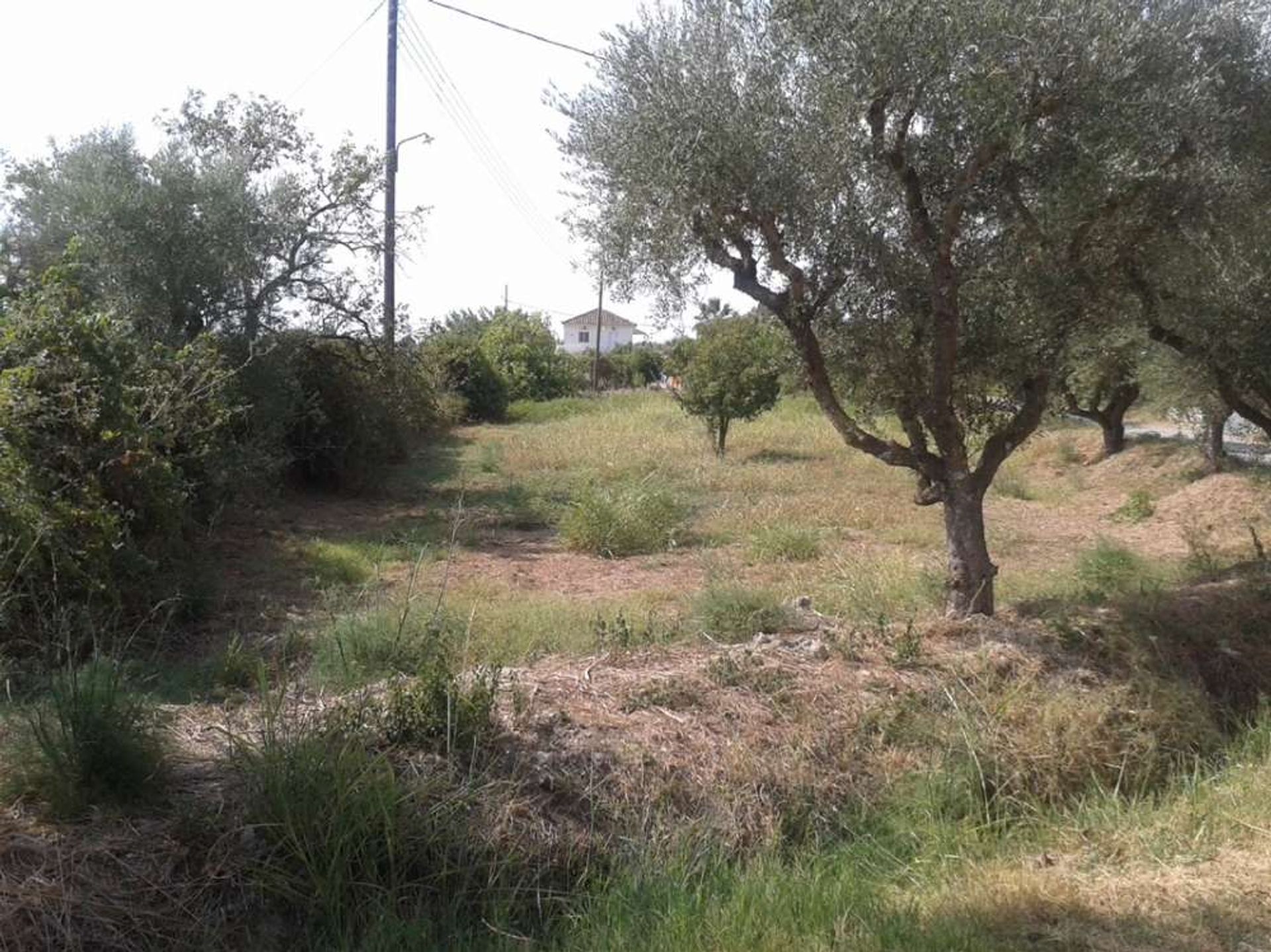 ארץ ב Zakynthos, Zakinthos 10087663